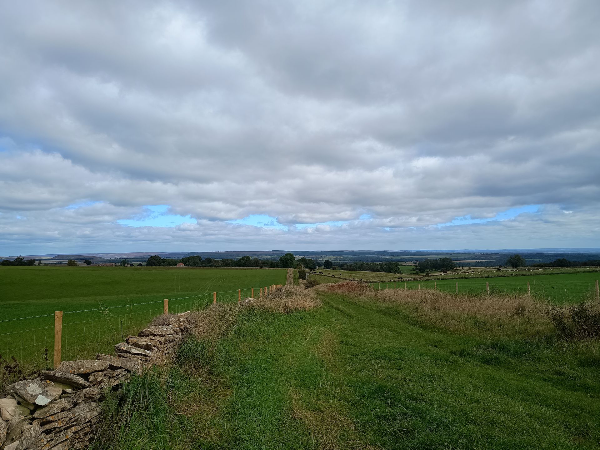 View across farmers field