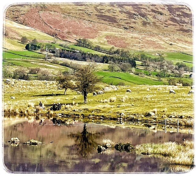 Tewet Tarn