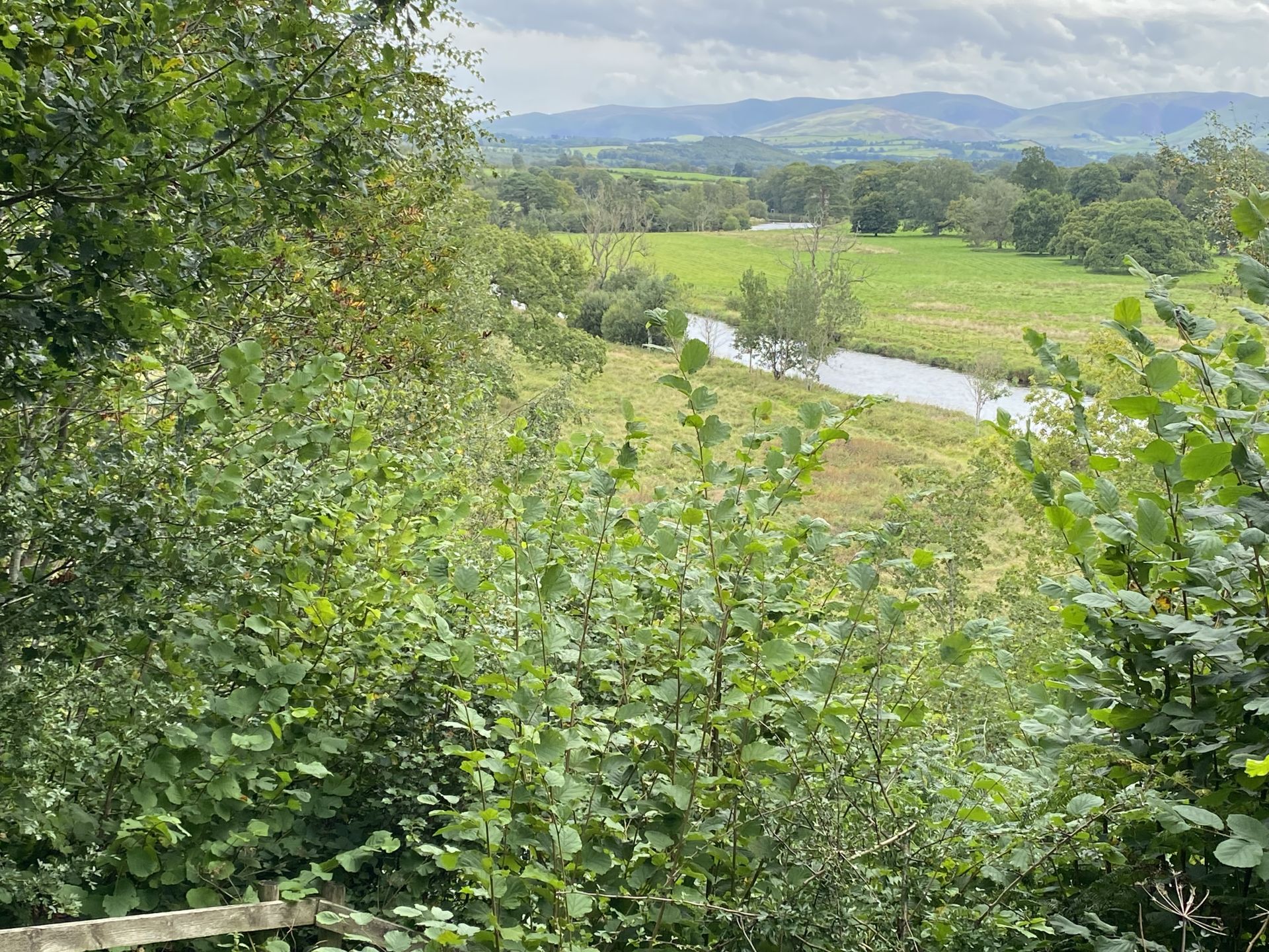 River Derwent