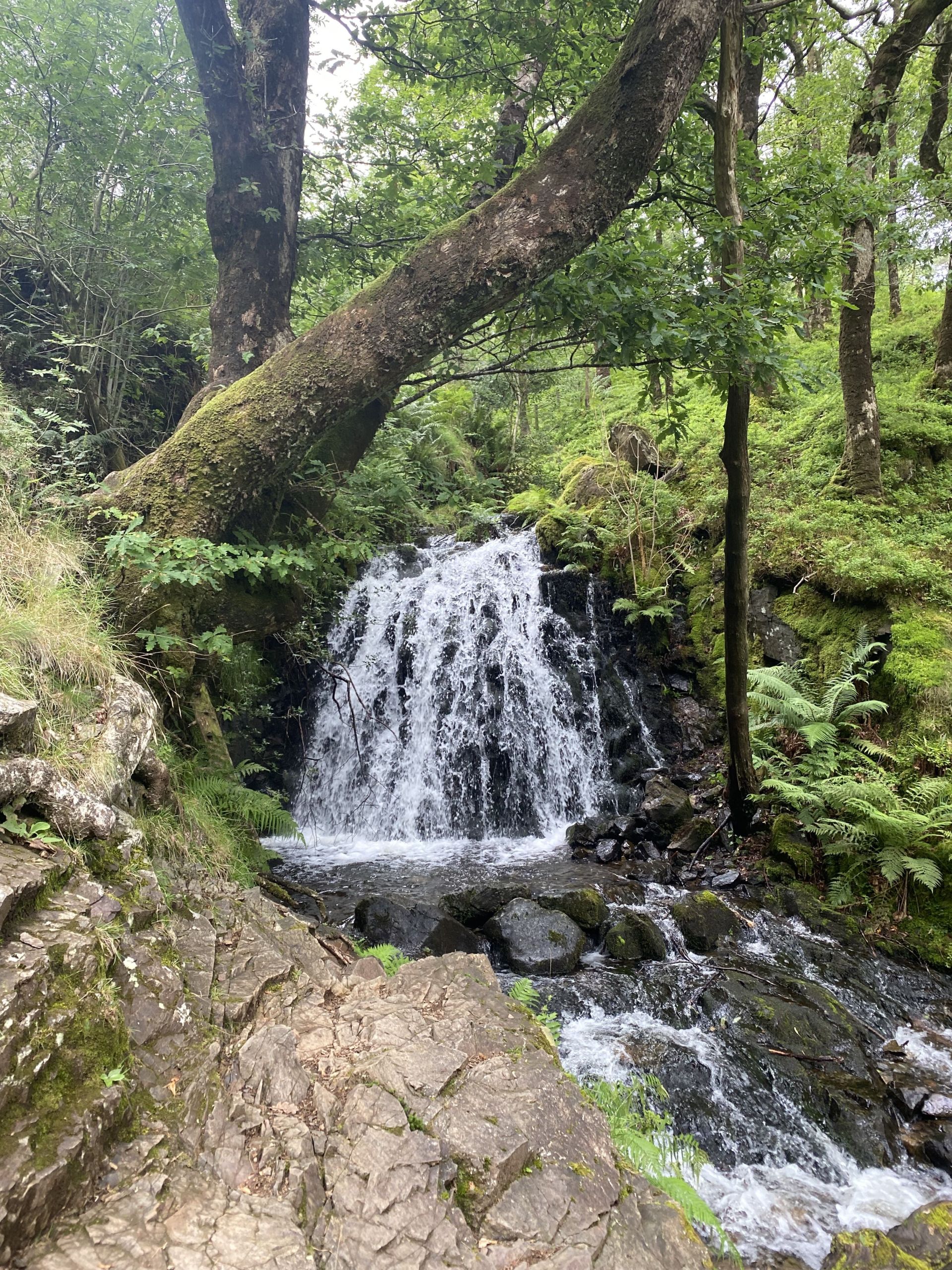 waterfall at Tarn Hows