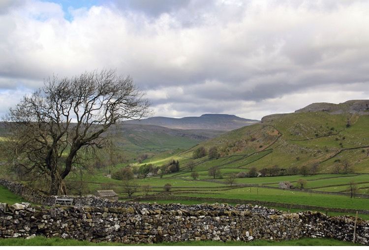 Oxenber near Austwick