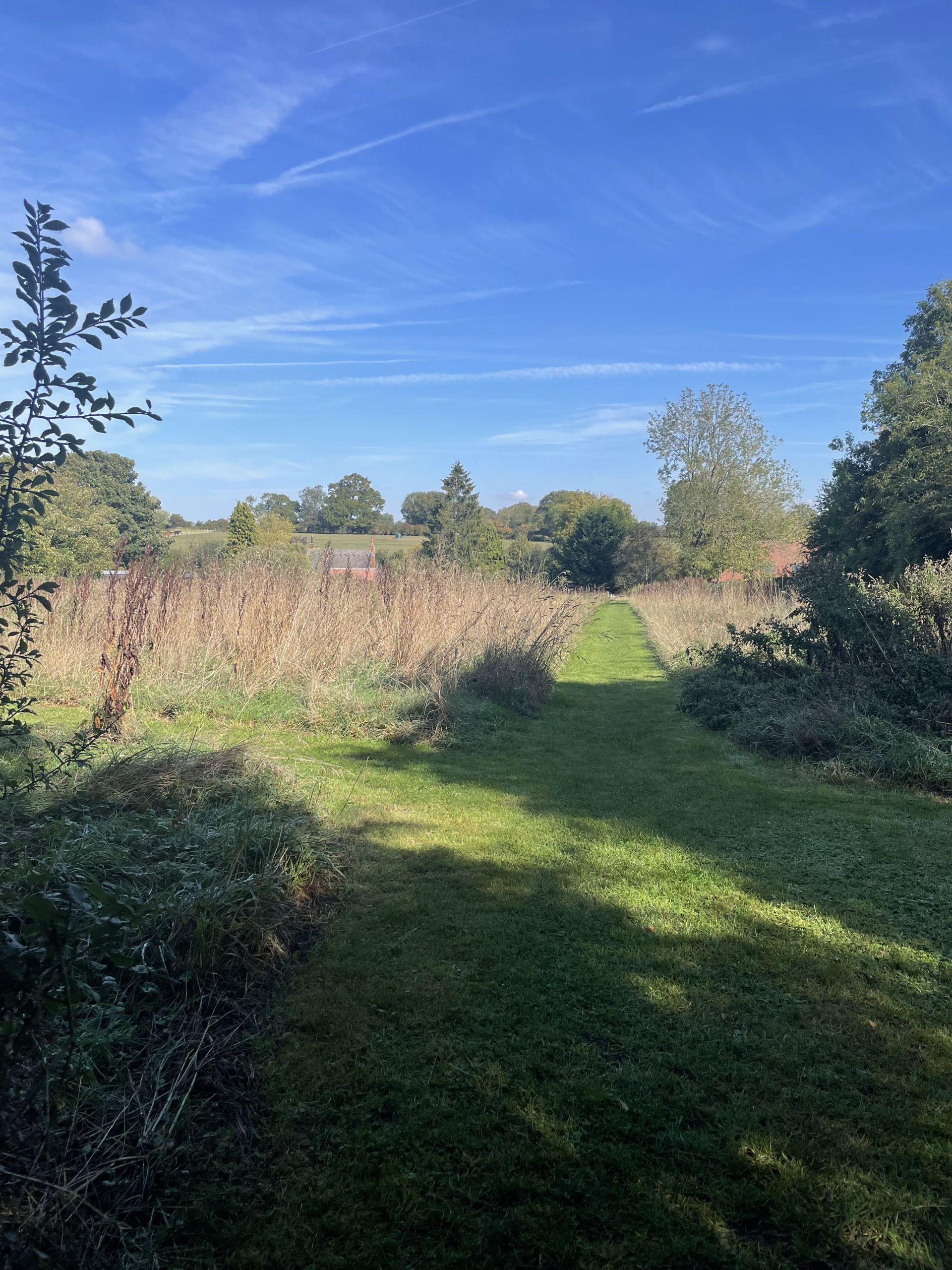 return to Weston