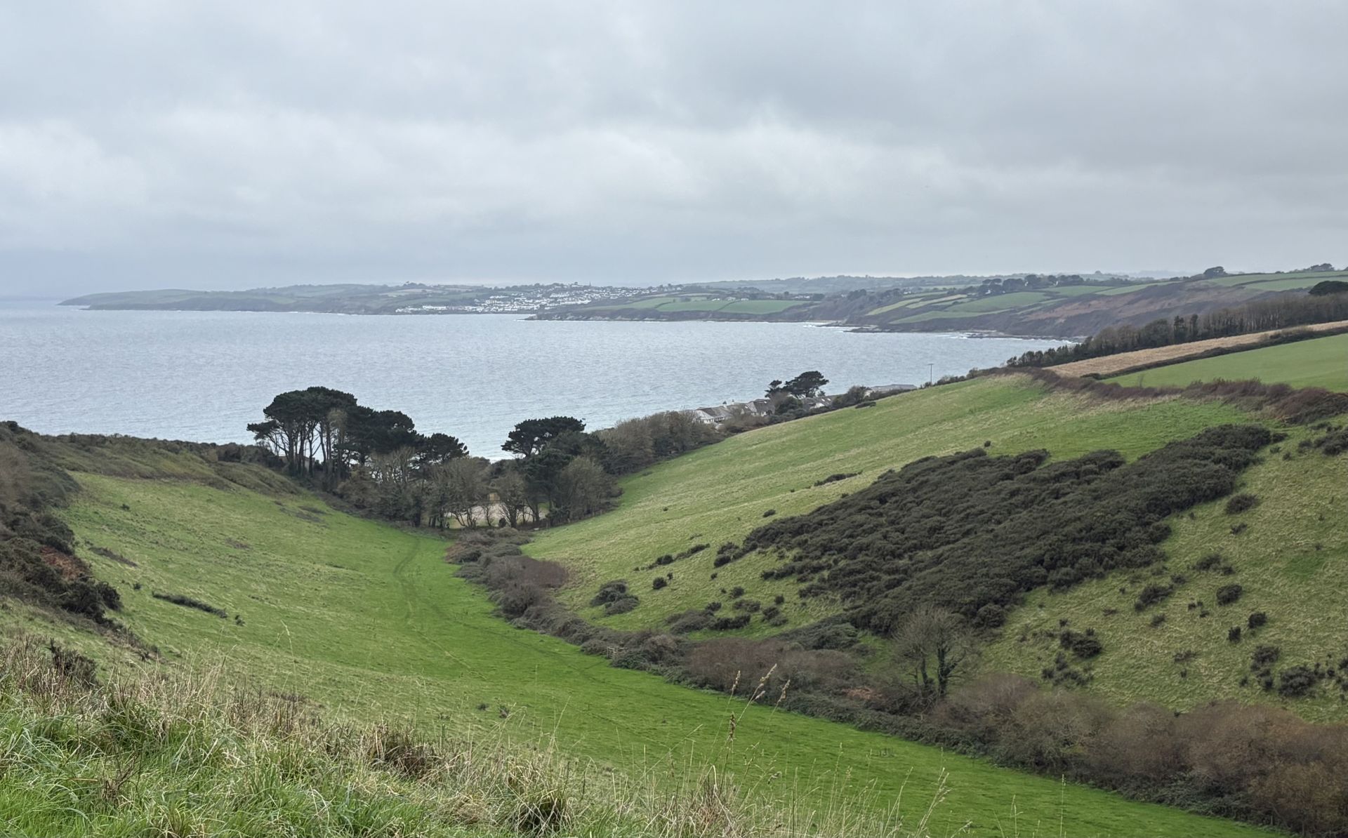 Fields and coast near Veryan