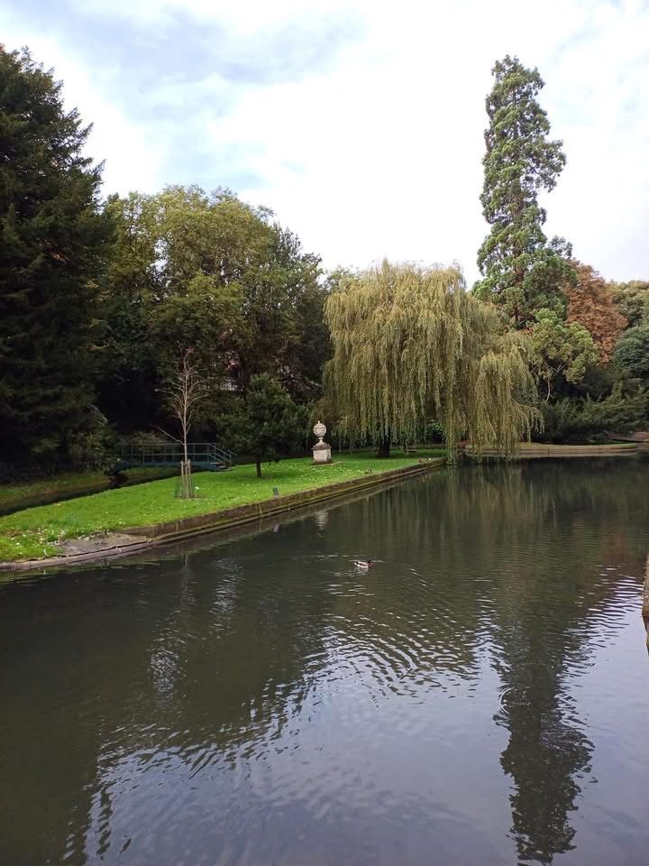 New River at Great Amwell