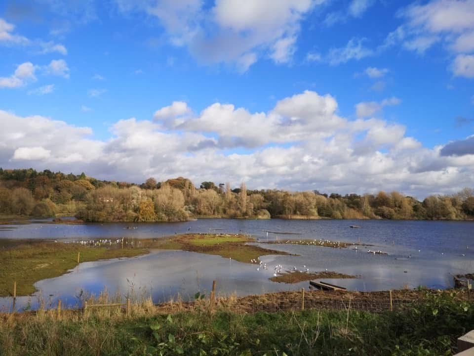 Amwell Nature Reserve 