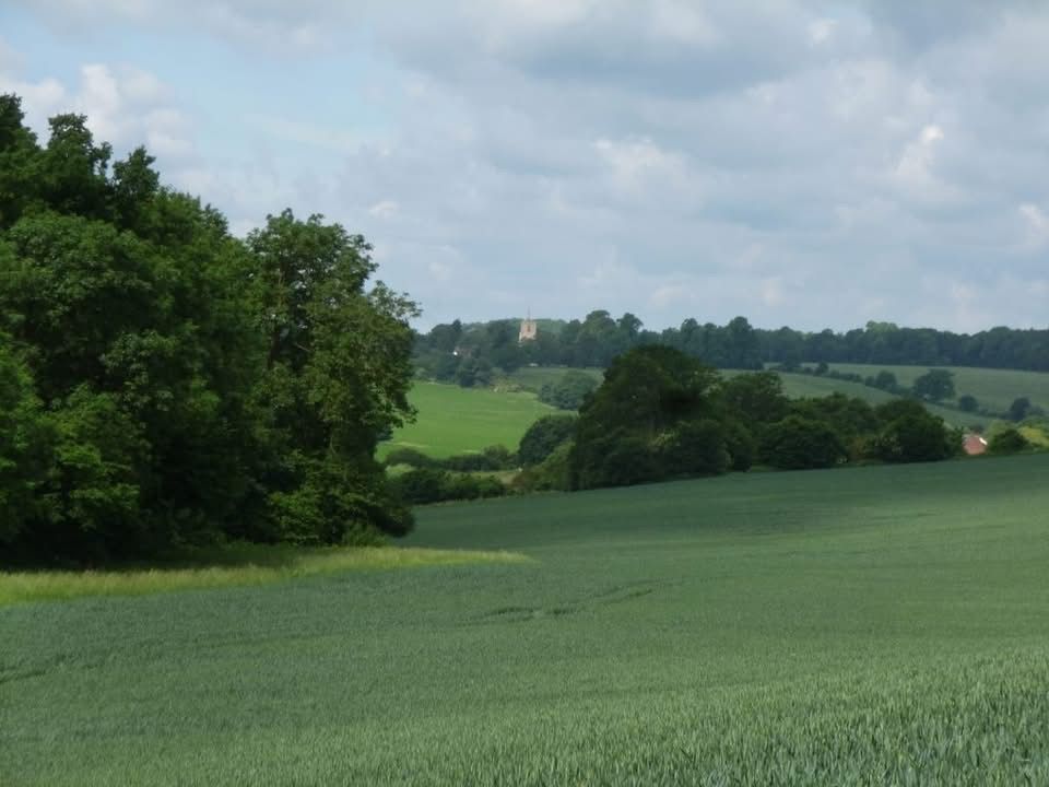 View over fields and trees