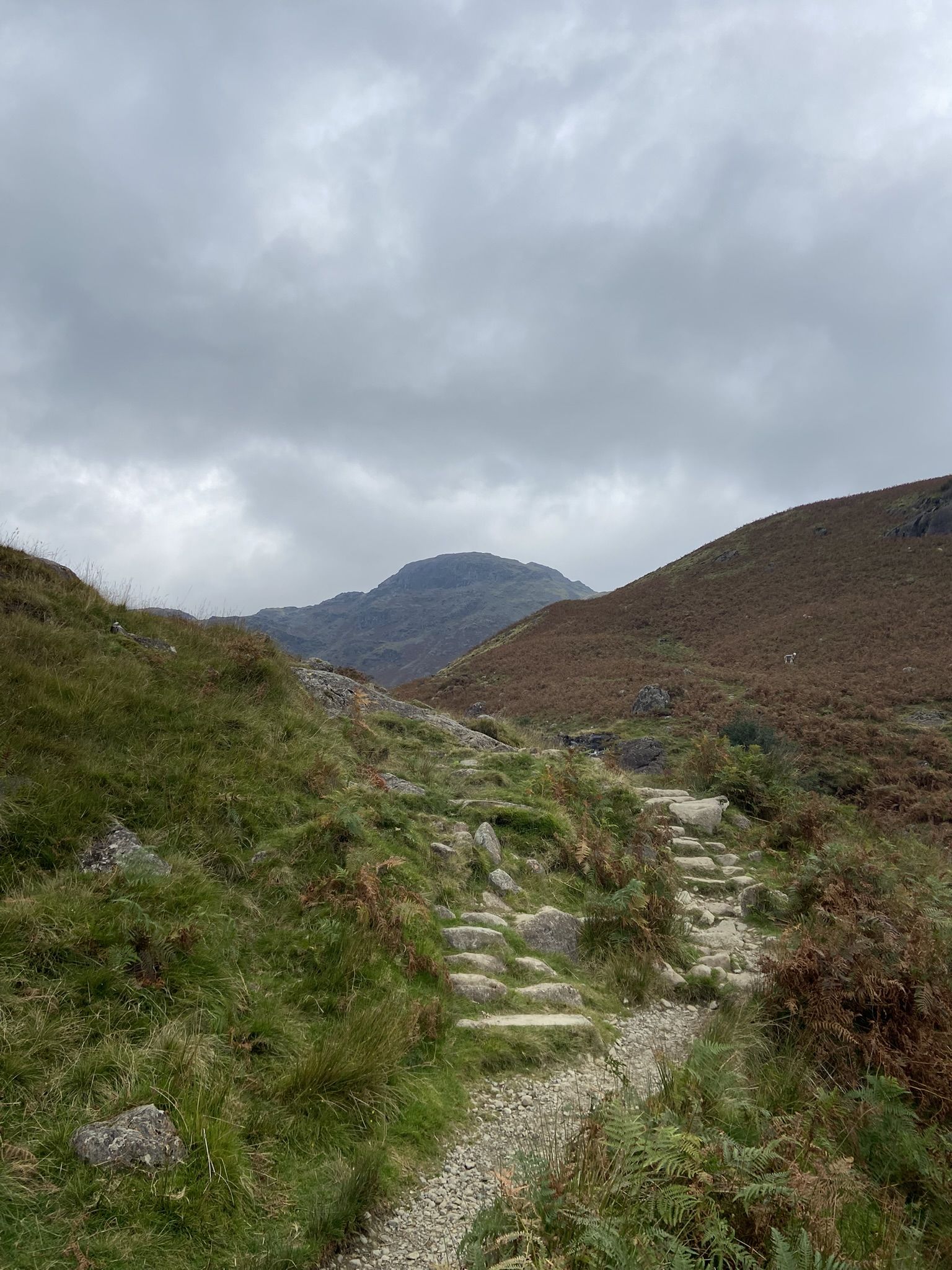 Path up to Easedale Tarn 