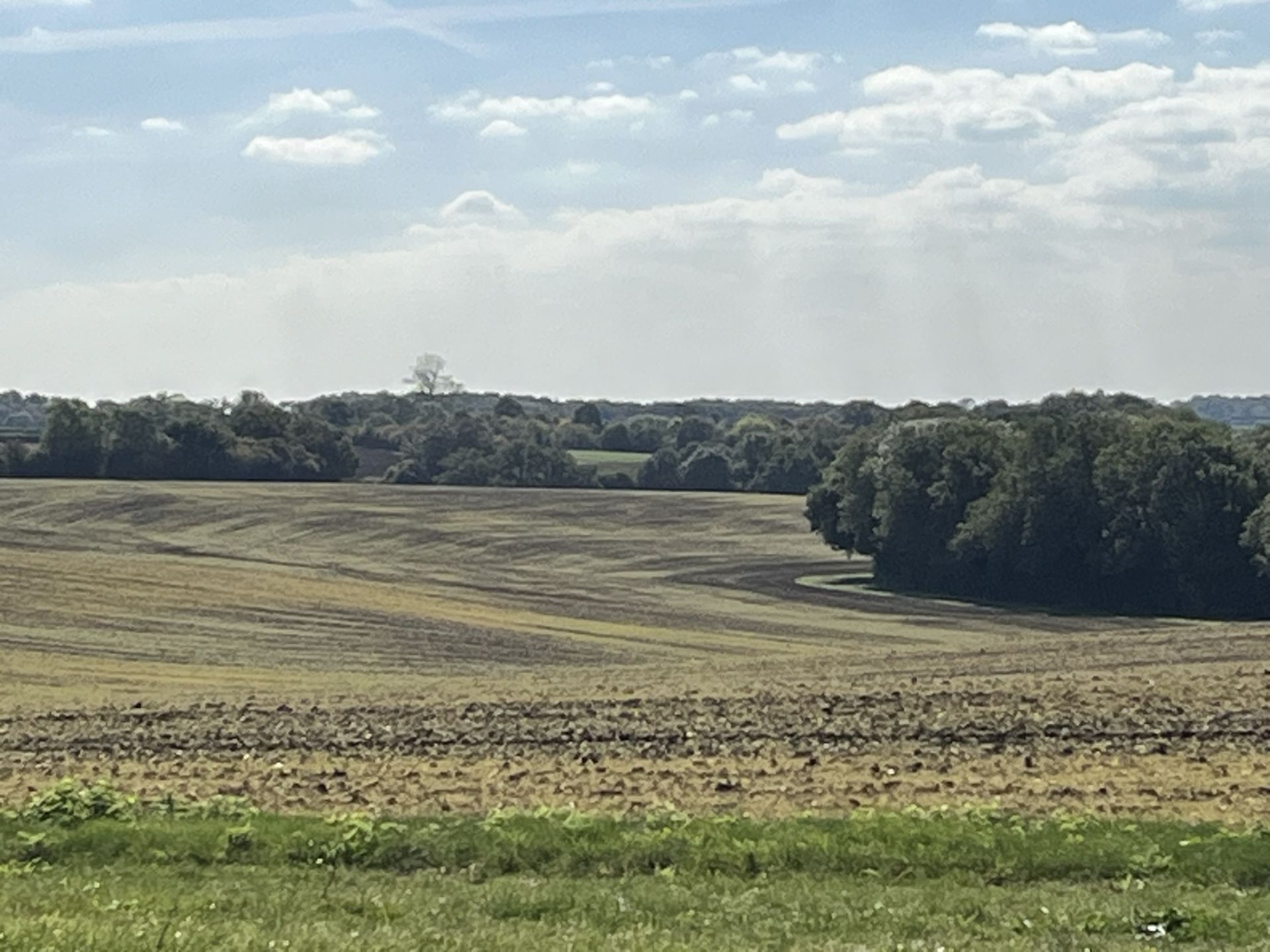 Near Aspenden