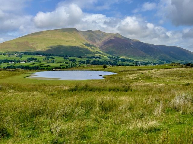 Tewet Tarn