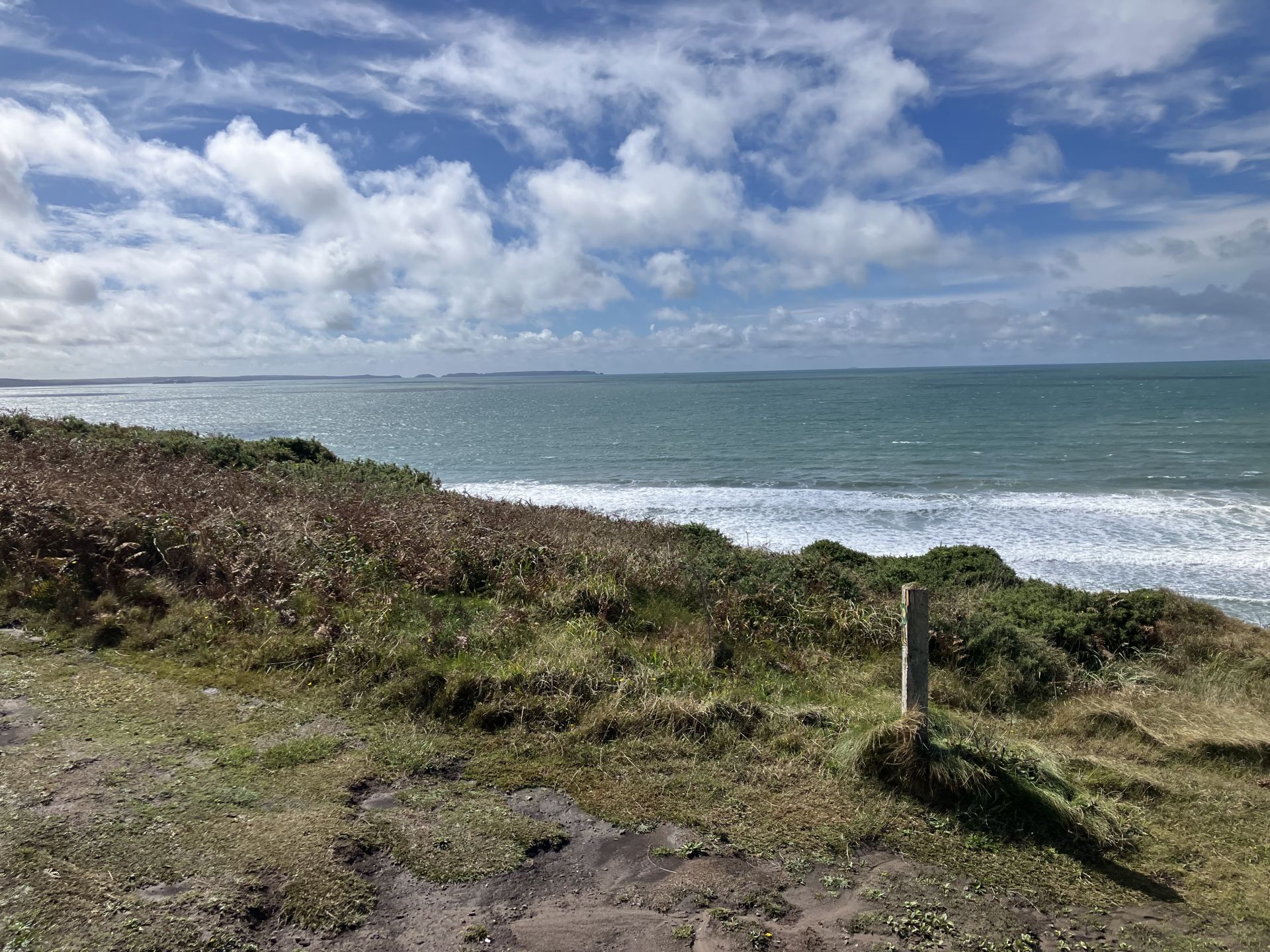 Skomer from near  Maidenhall