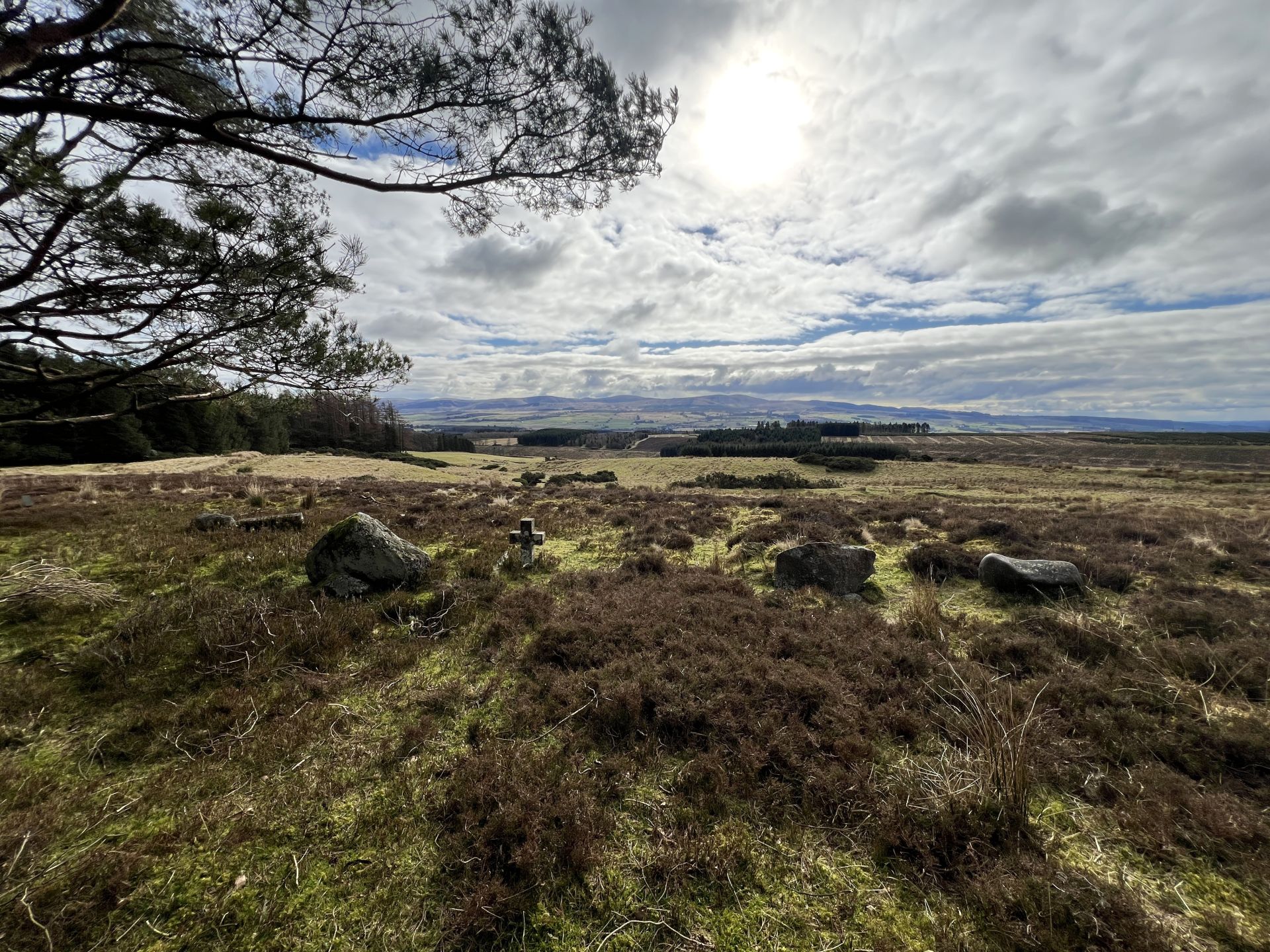 Braco, graves
