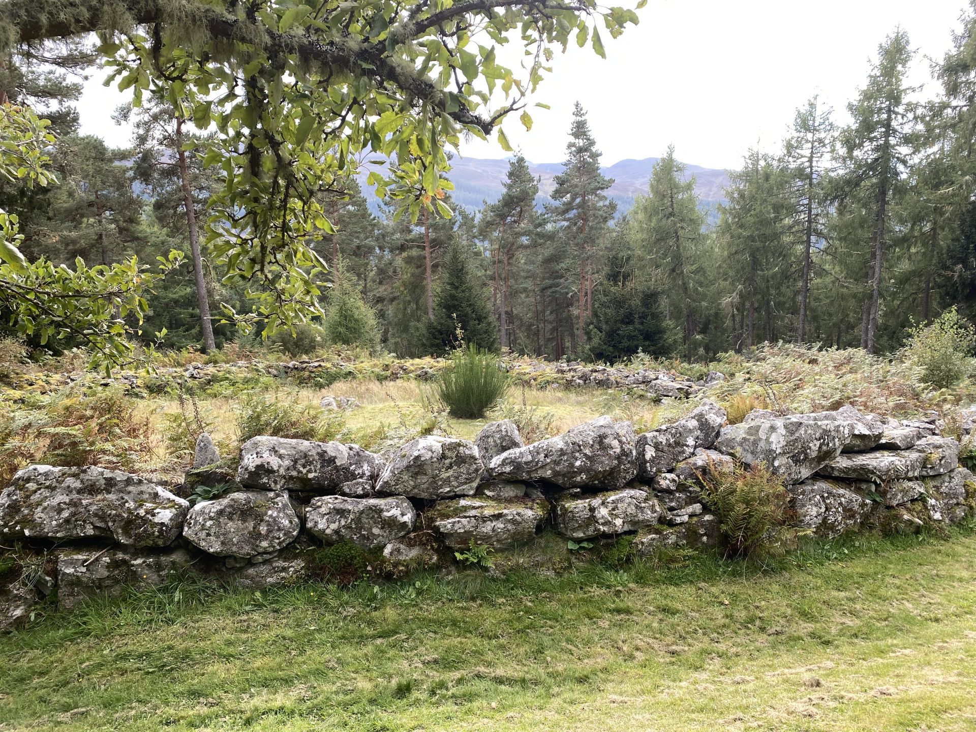 Stone Circle