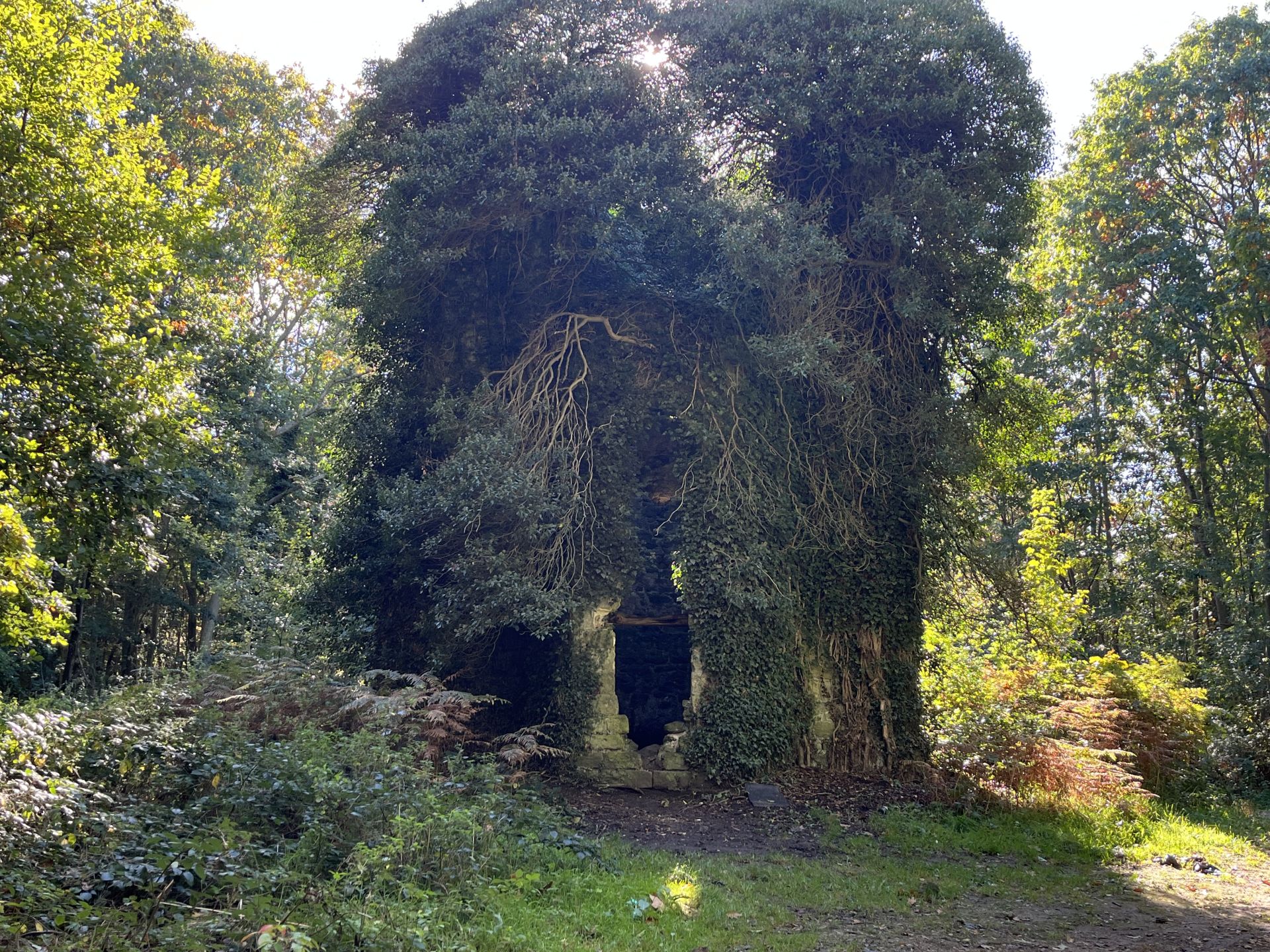 Ruined Tower