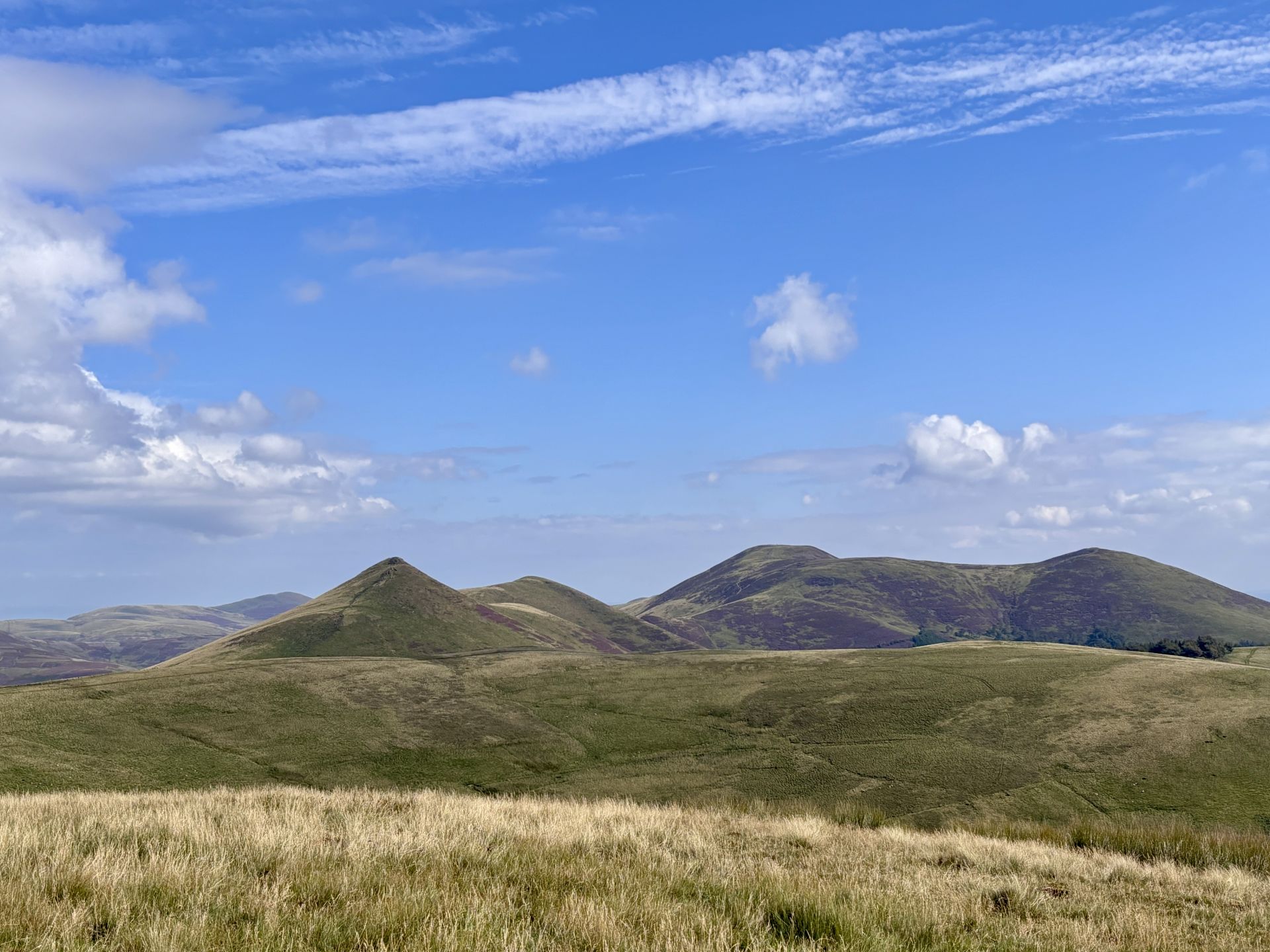 View of the Kips