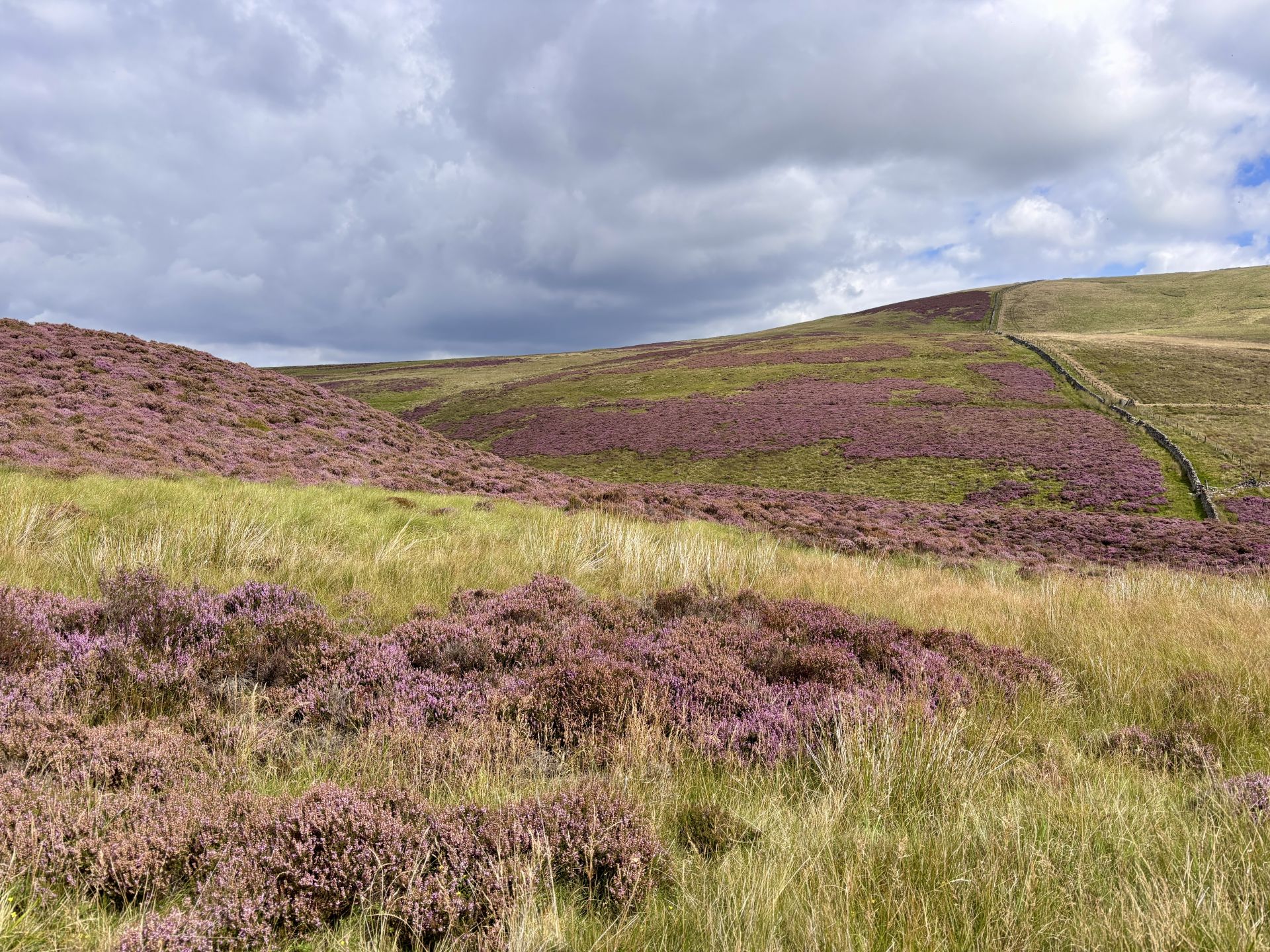 View to Spittal Hill
