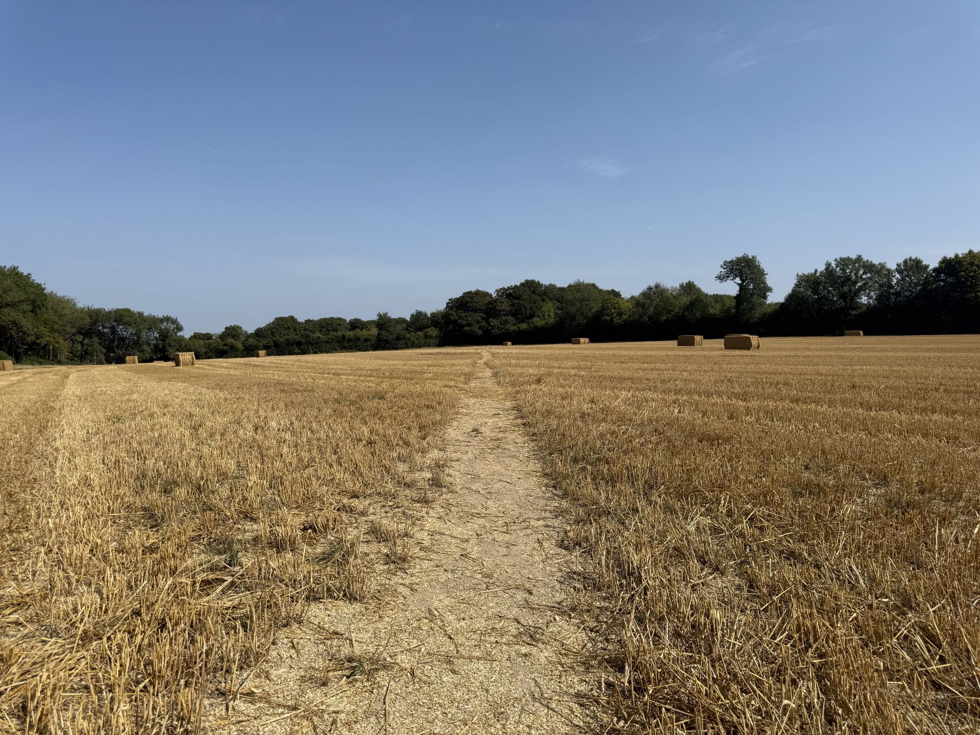 Open farmland