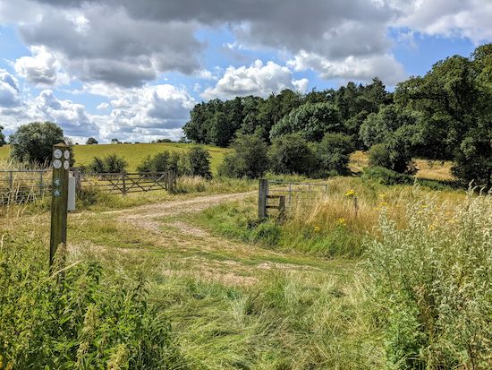 South on St Paul's Walden - Footpath 12 