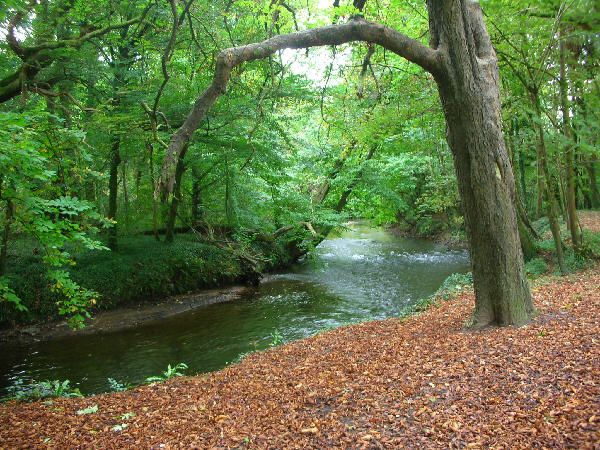 The river Clun near Miskin
