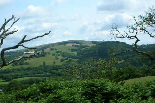 View towards the Garth