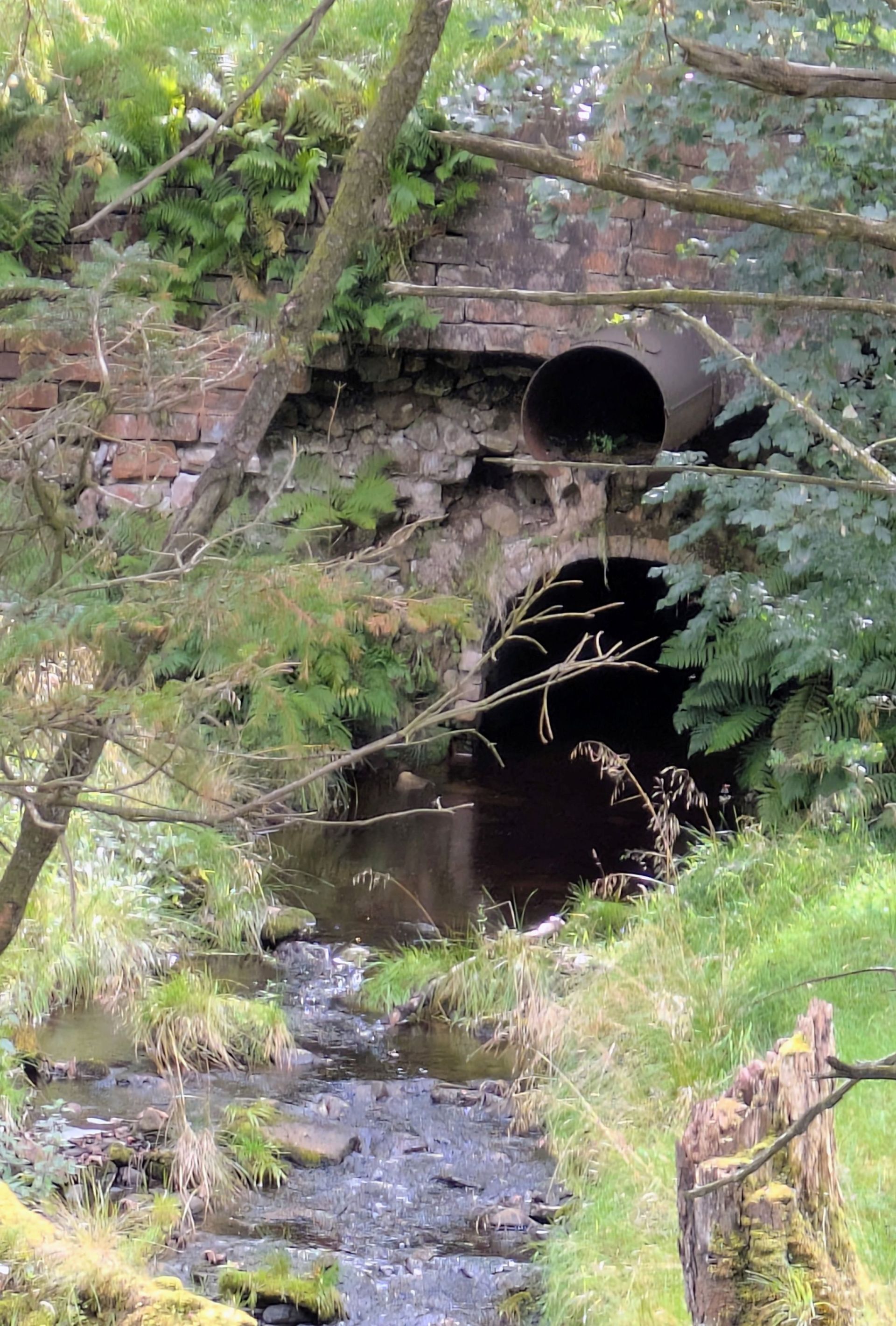 Old bridge and overflow