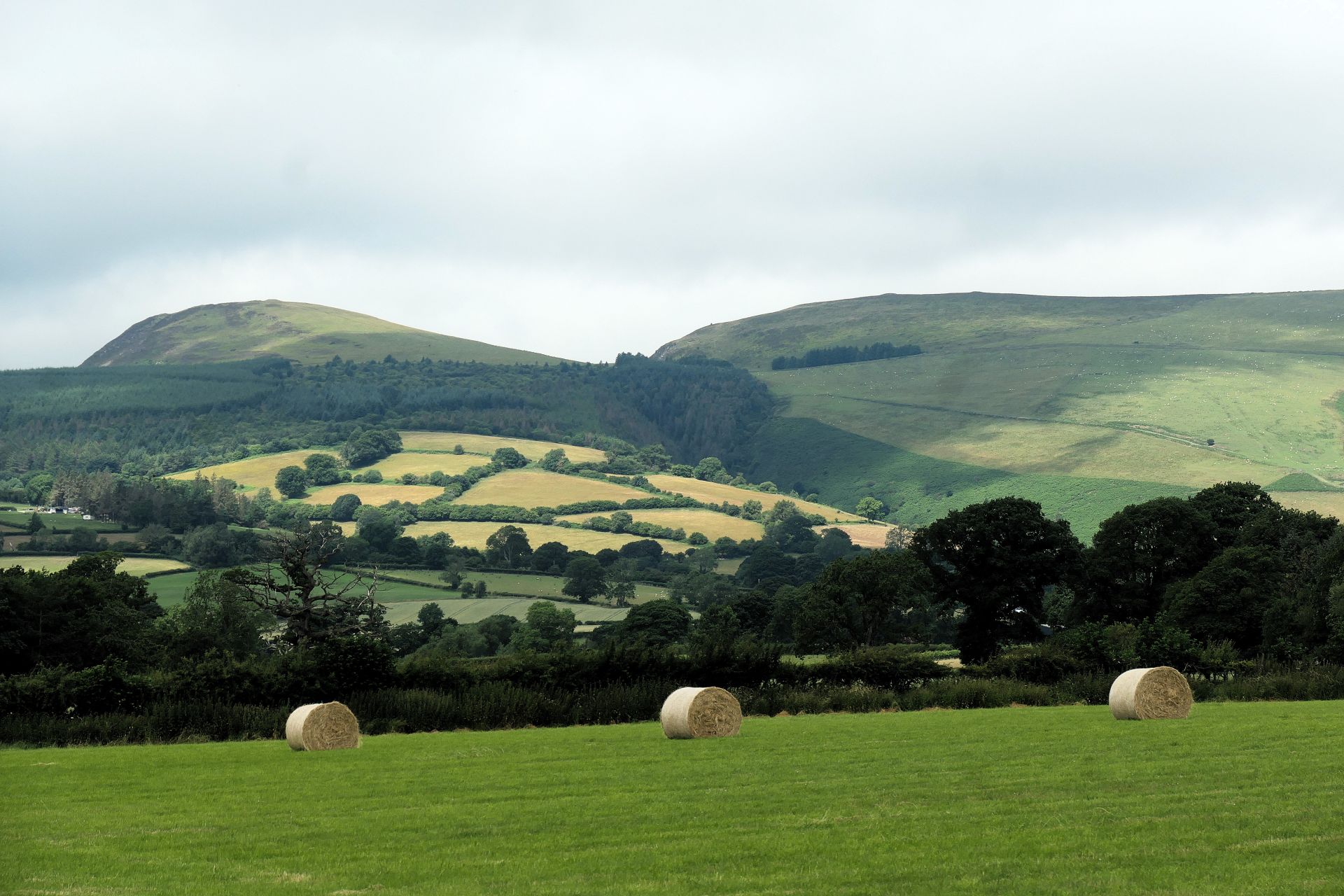 New Radnor
