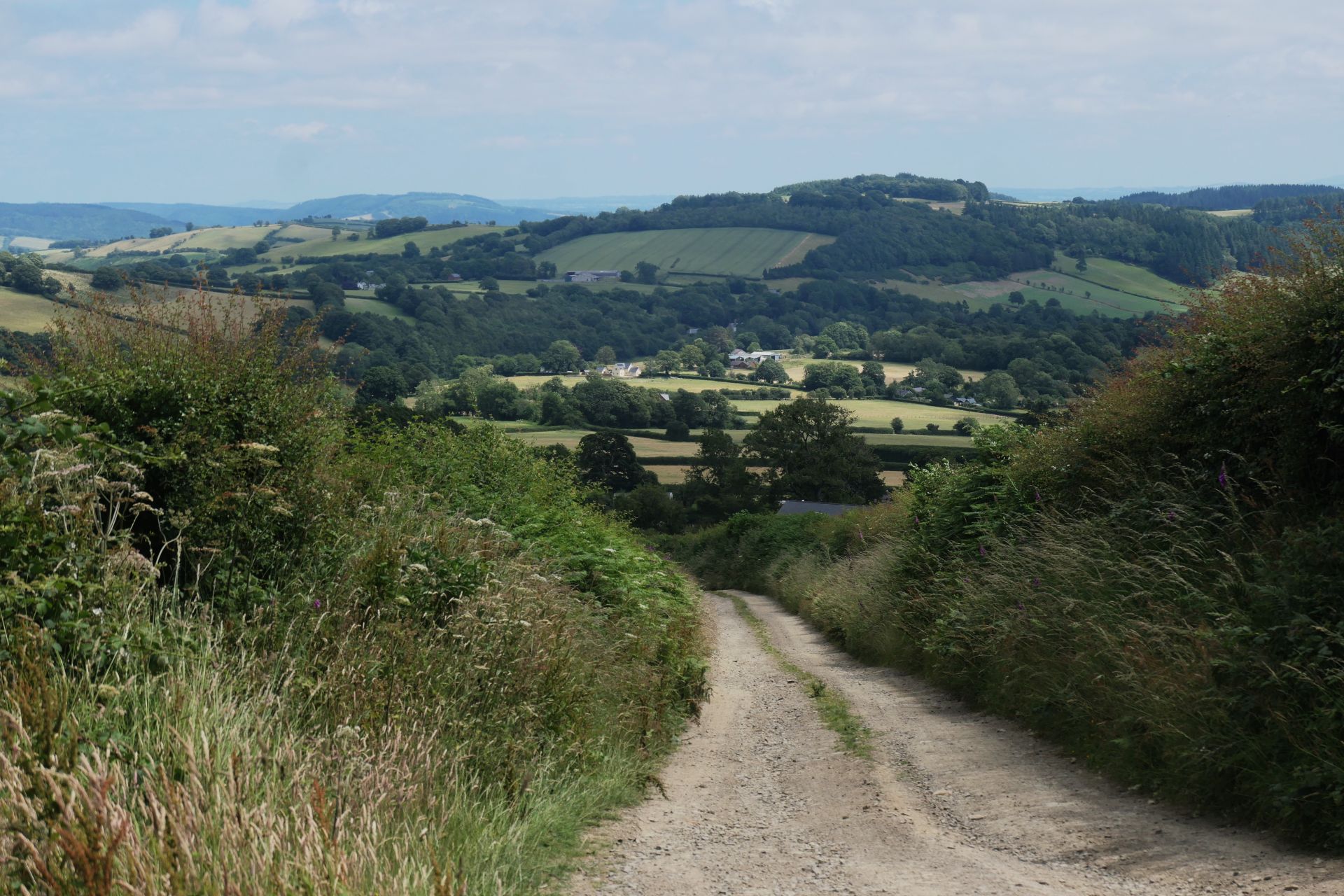 New Radnor