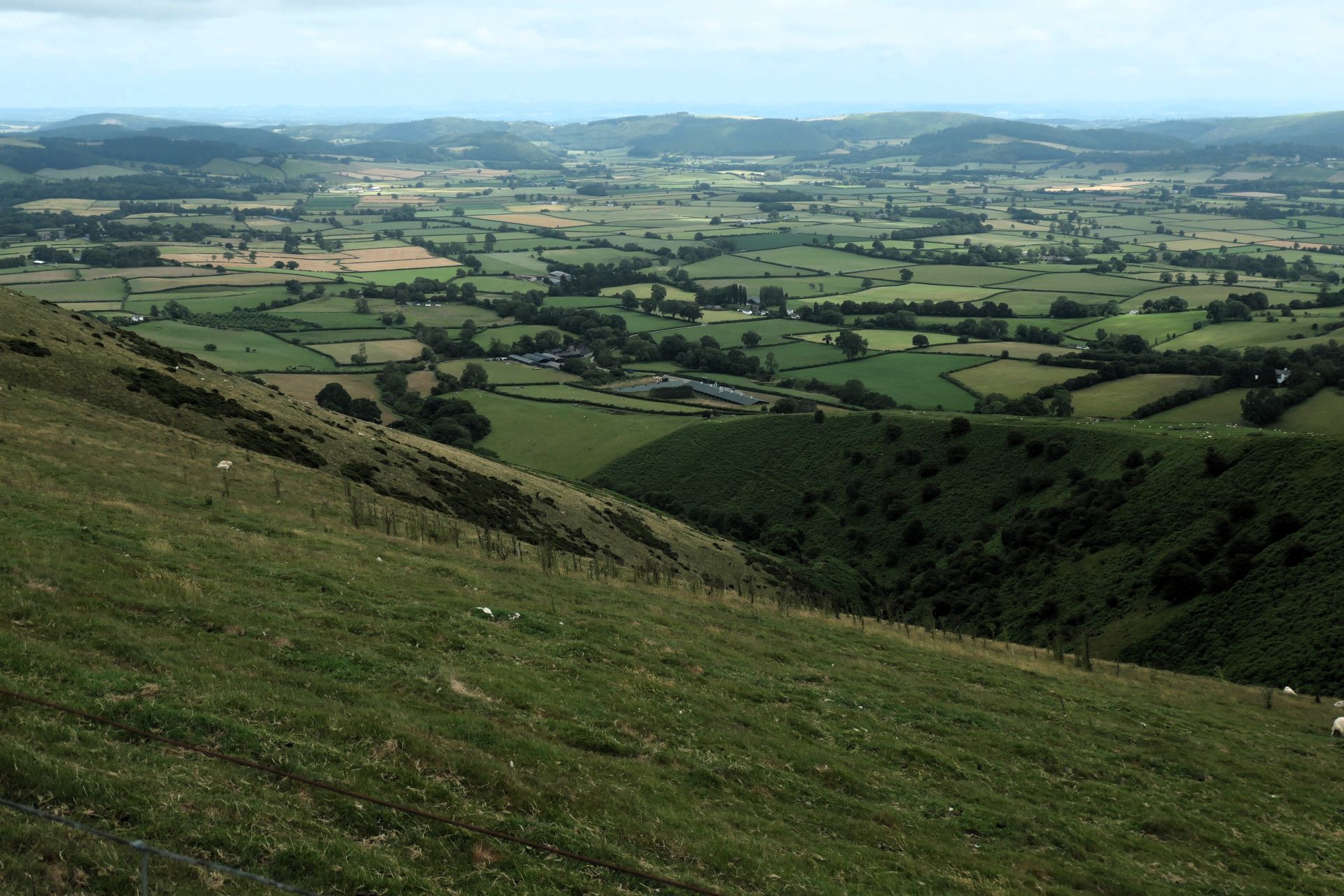 New Radnor