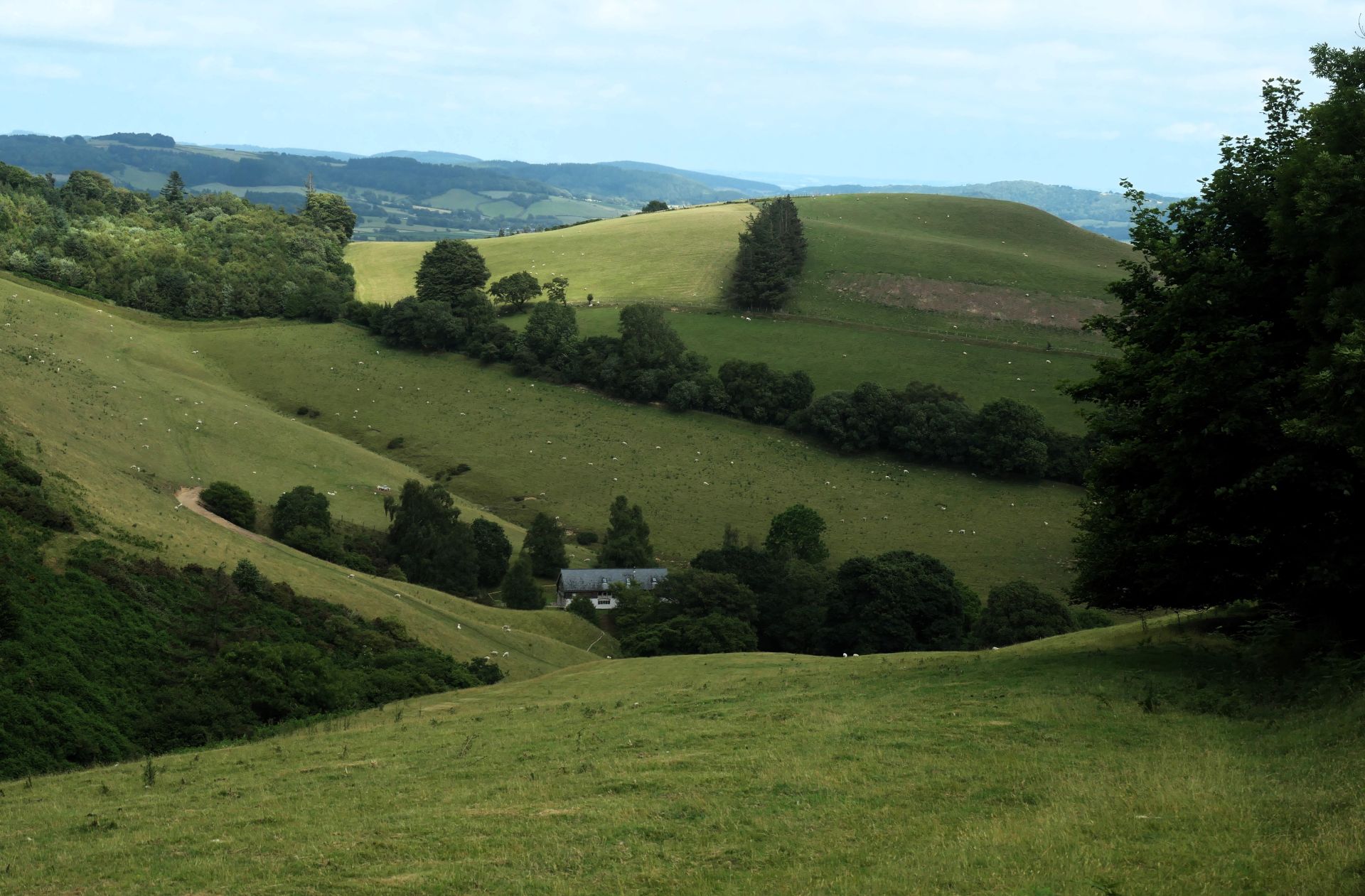 New Radnor
