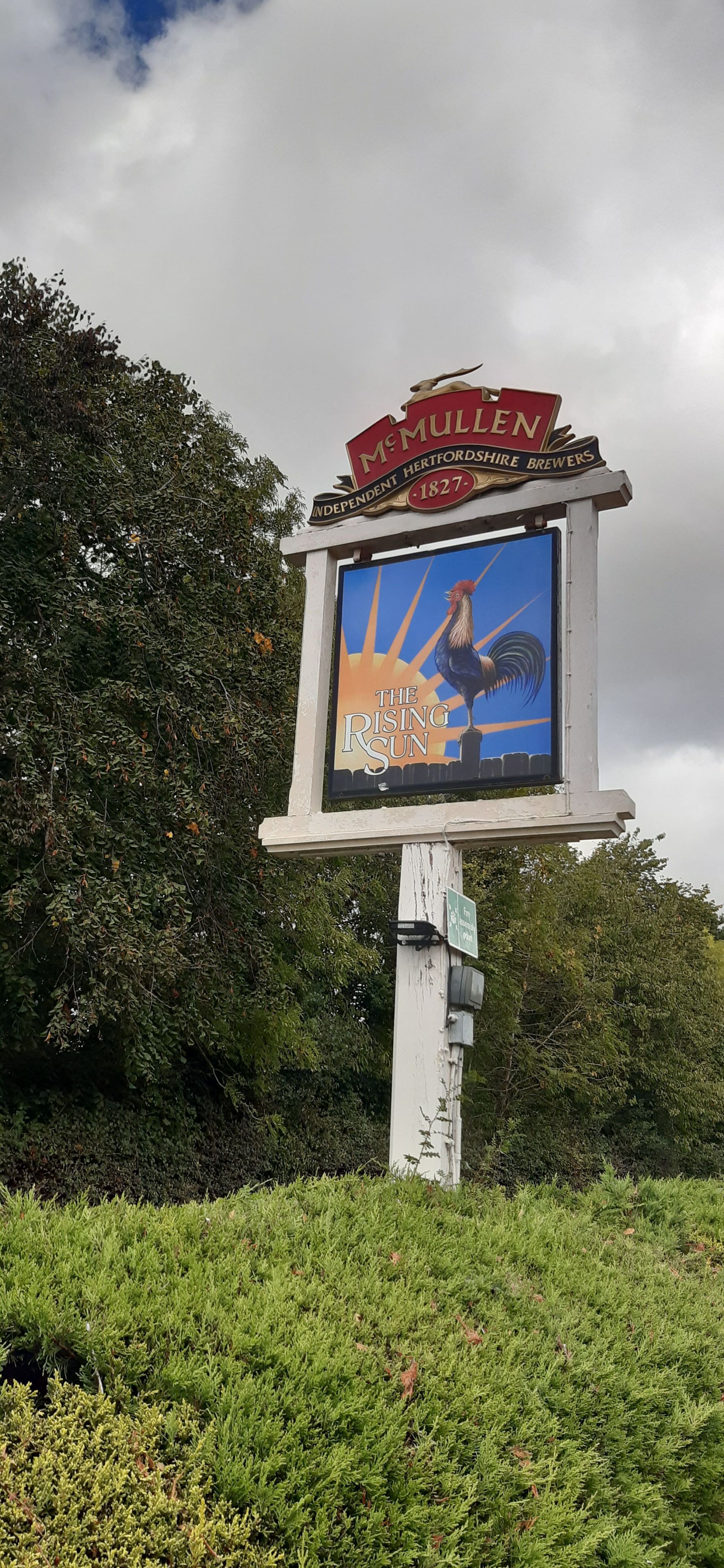 the pub sign