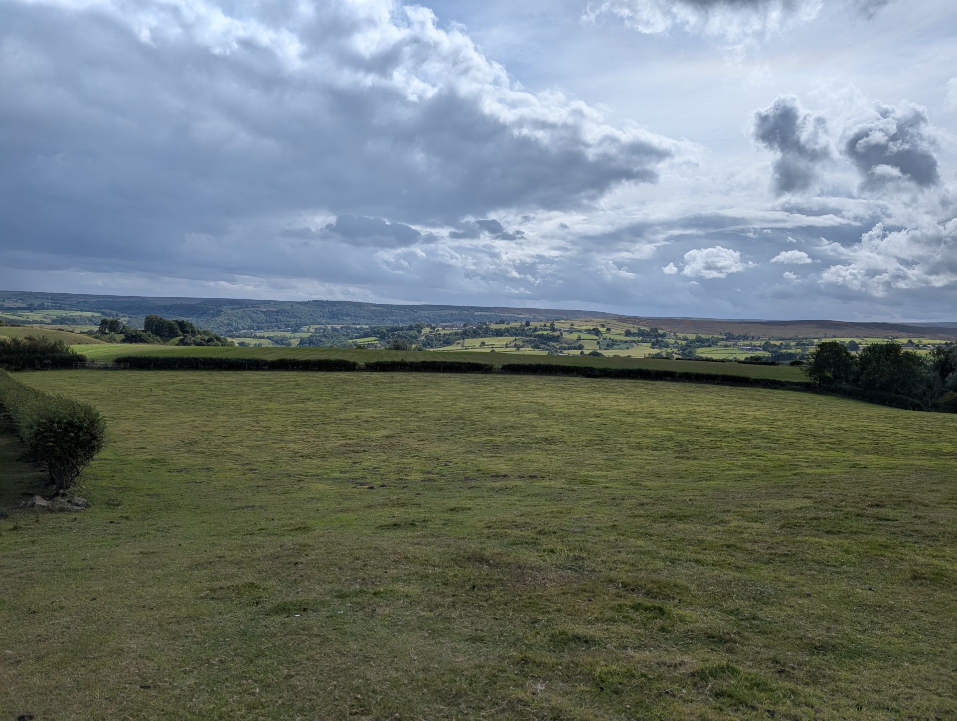 view