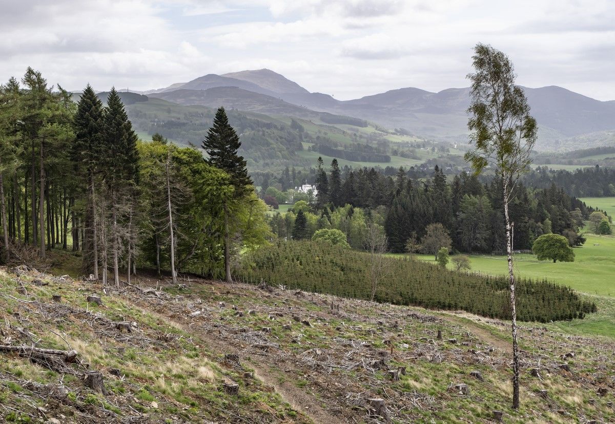 Looking south towards Blair Atholl castle & Ben Vrackie