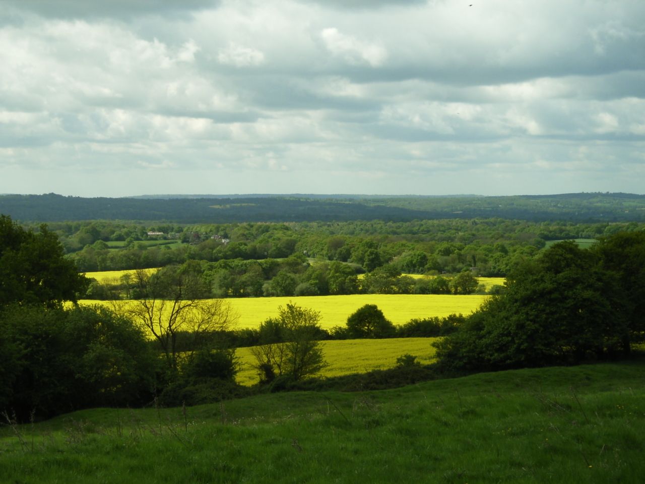 countryside