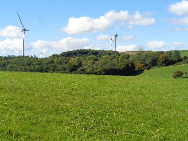 Wind