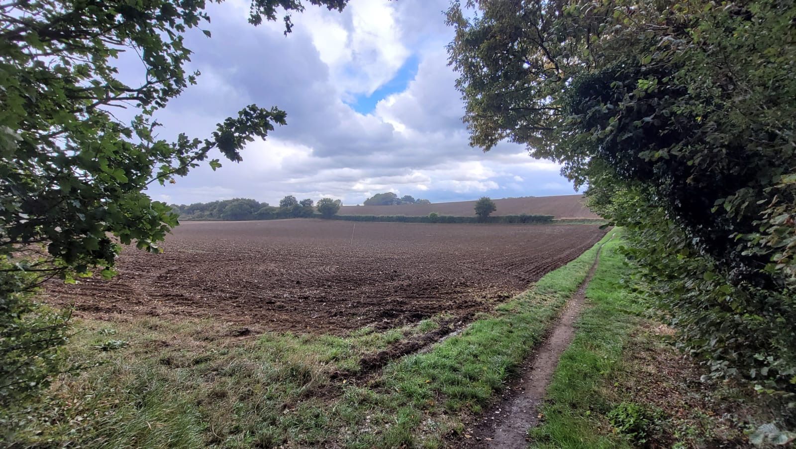 A view through trees of a path alongside a field a