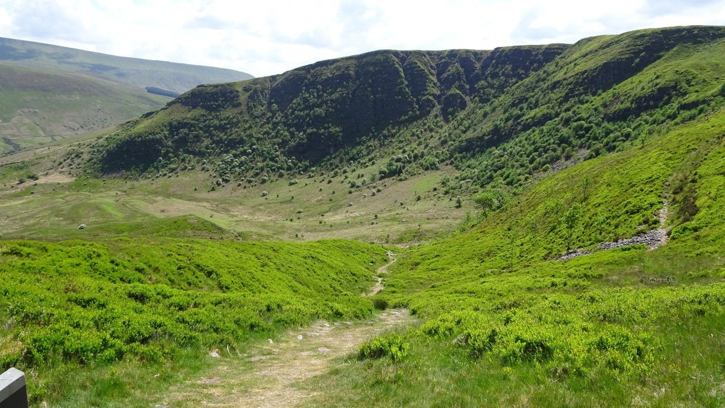 Fan Frynych Circular