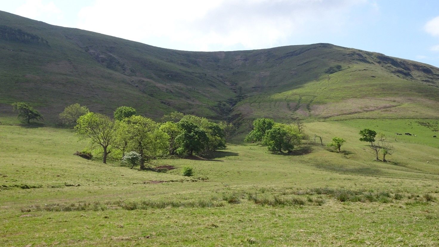 Fan Frynych Circular
