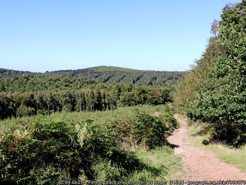Forestry track on Cannock Chase, copyright Roger D Kidd, used under Creative Commons licence v2.0.