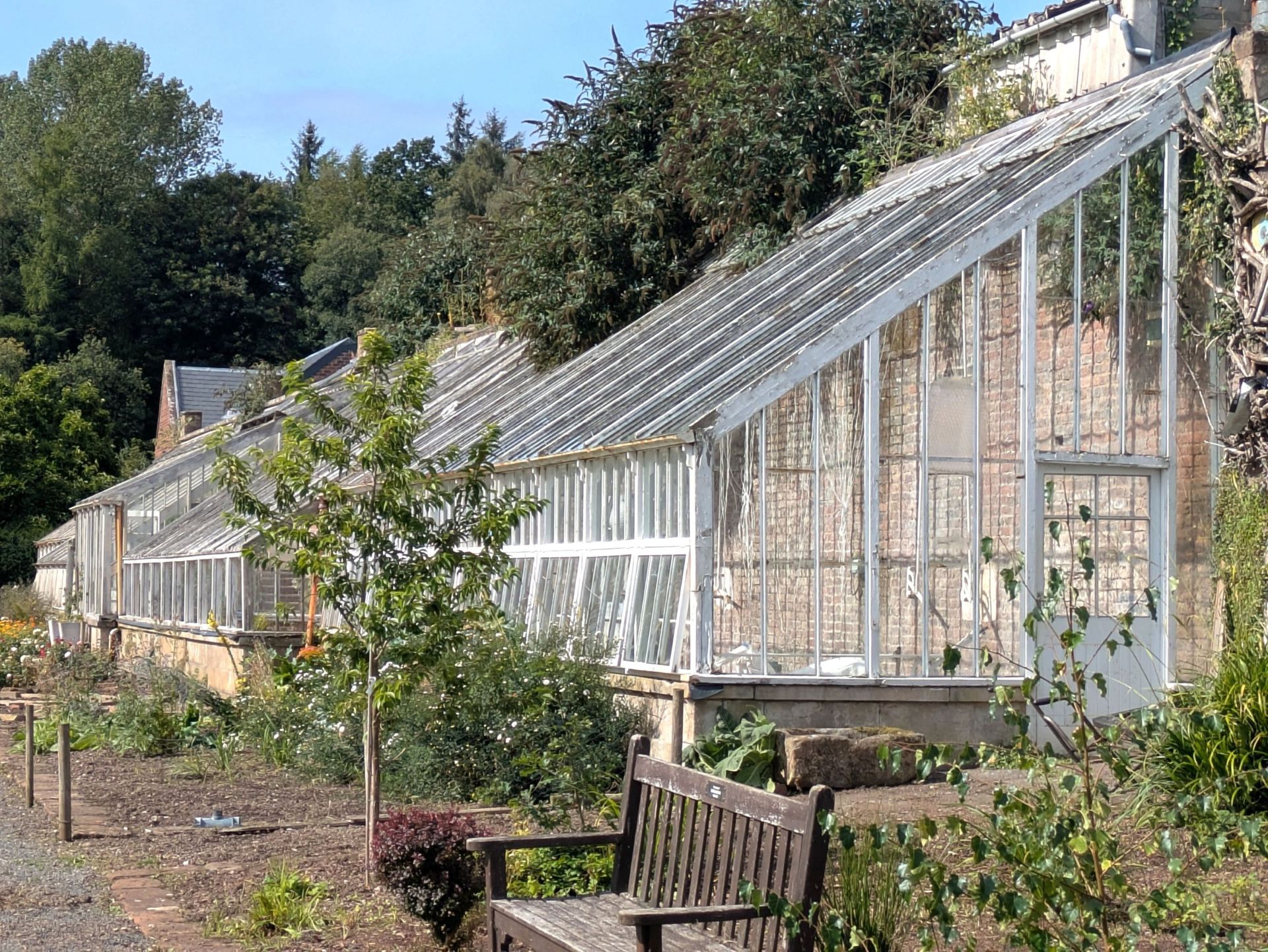 glasshouse