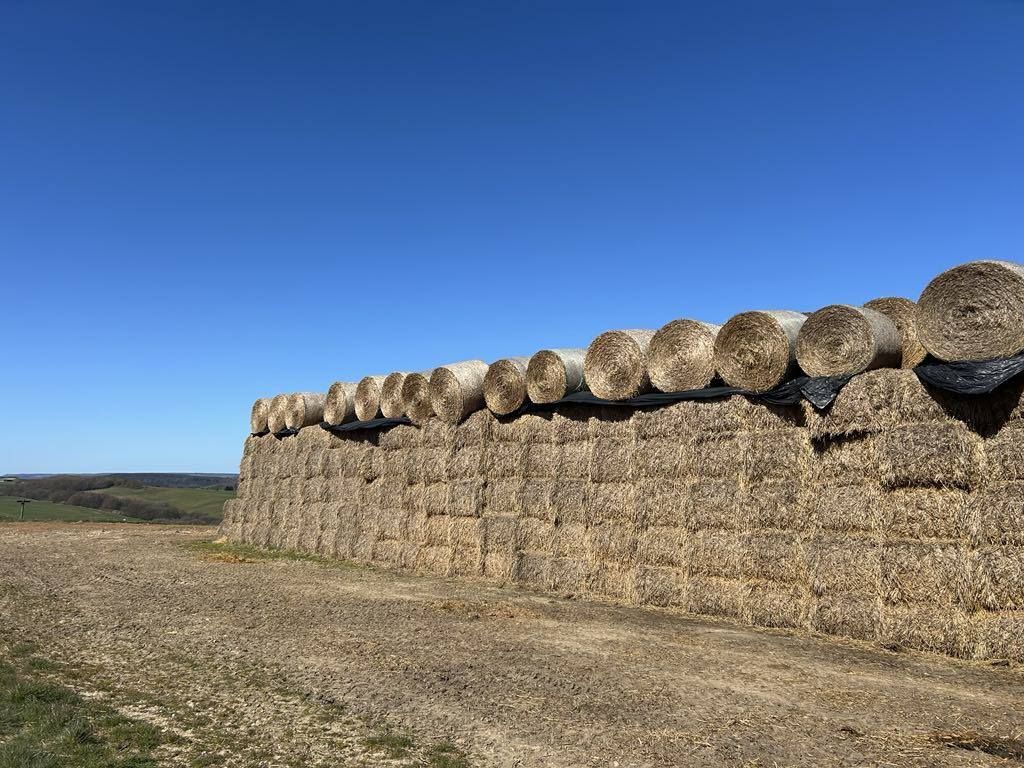 Hay bales