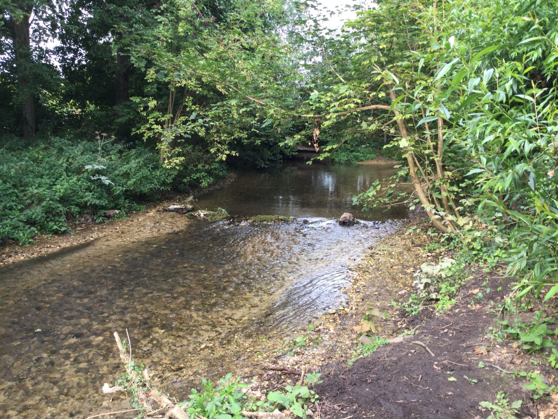 A chalk stream