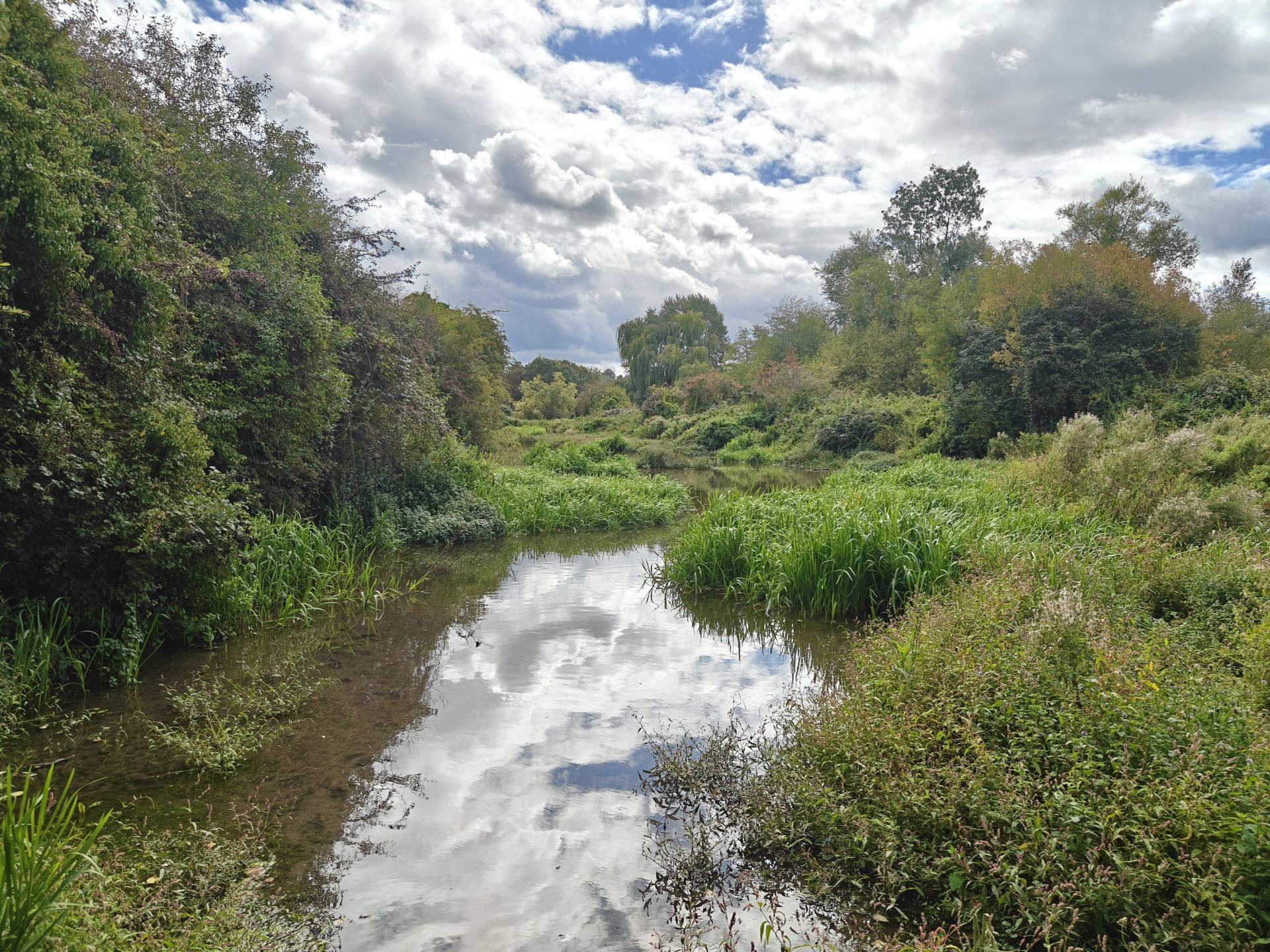 Chess River