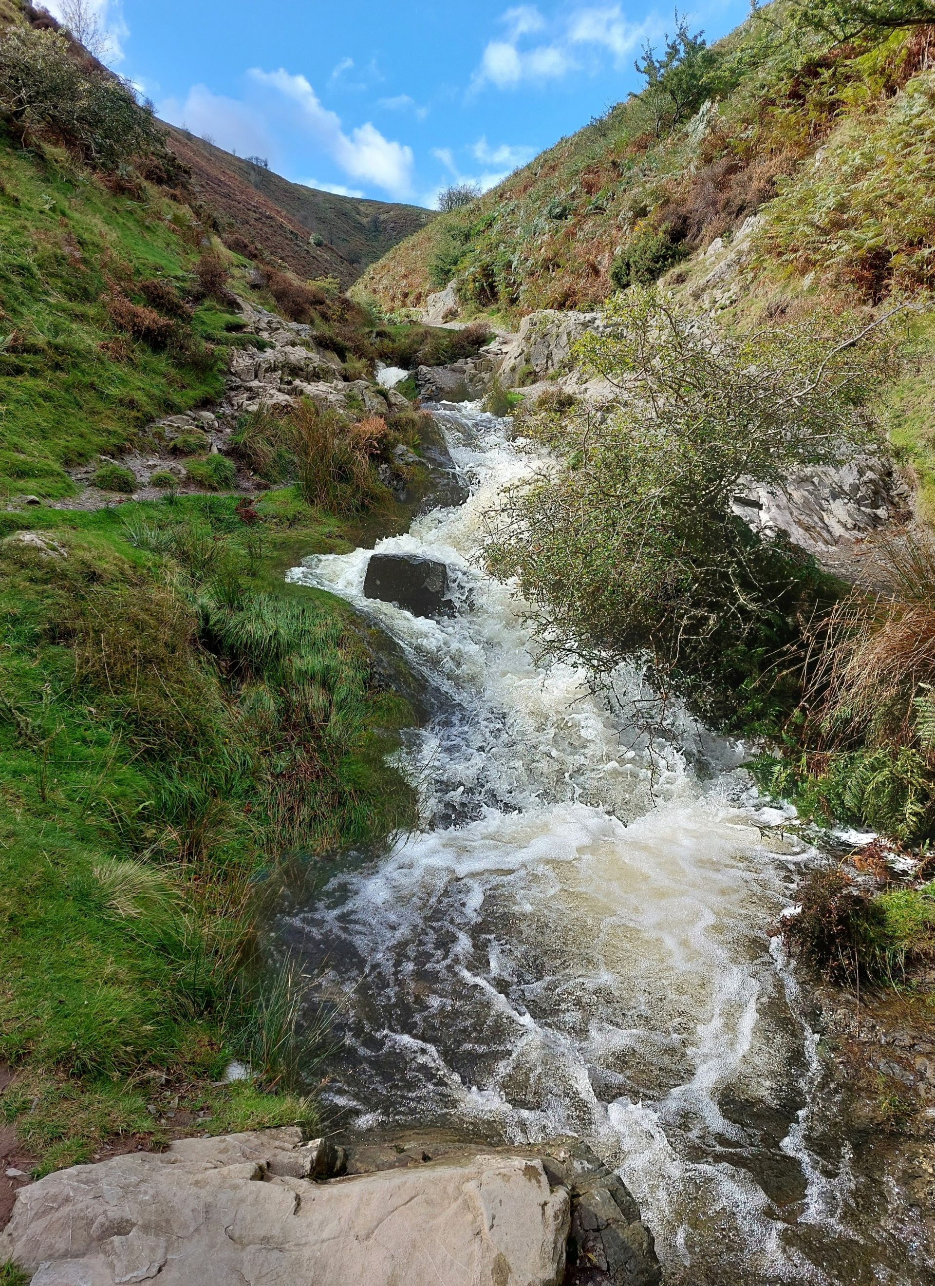 Ashes Hollow 