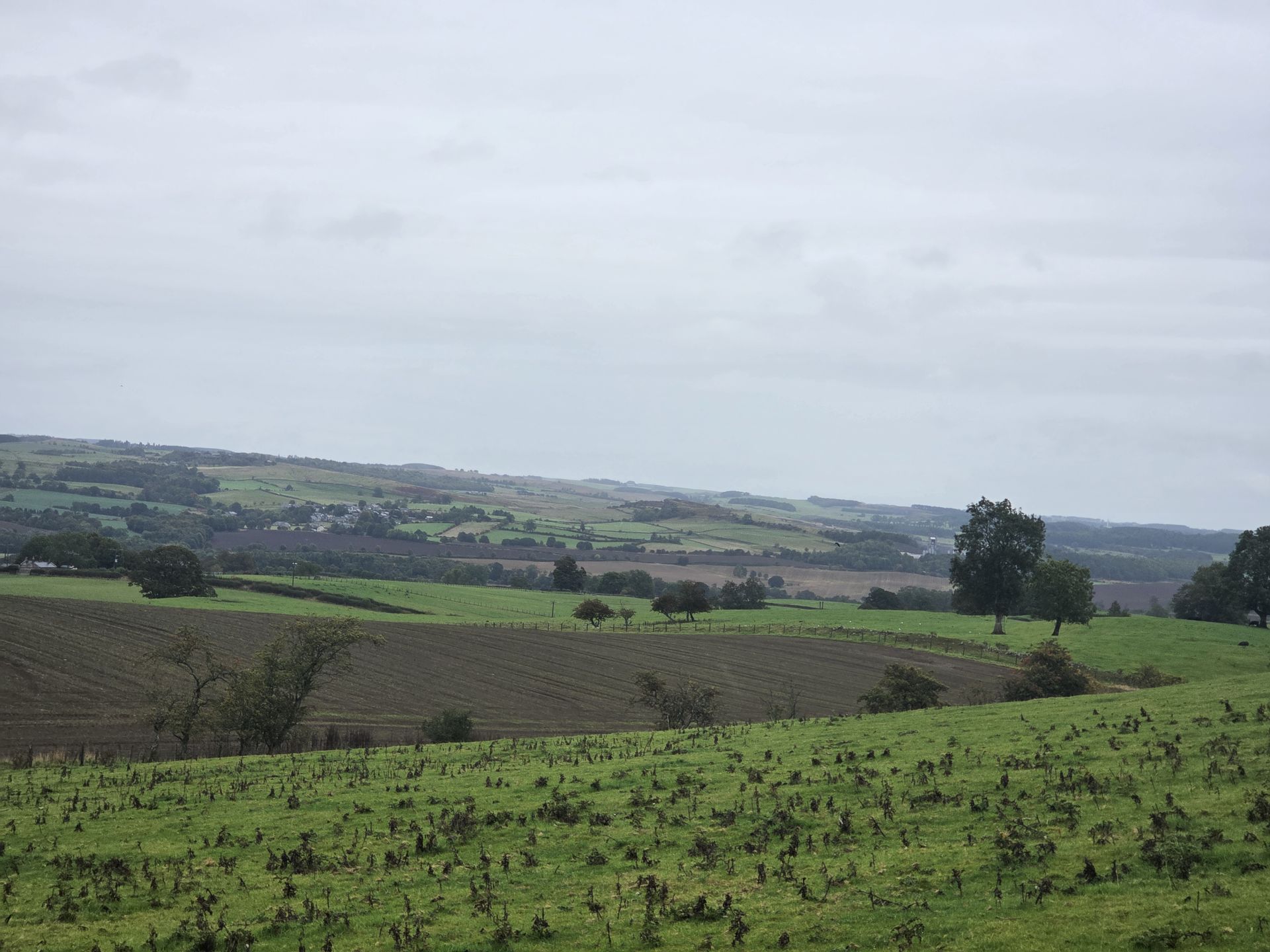 Field