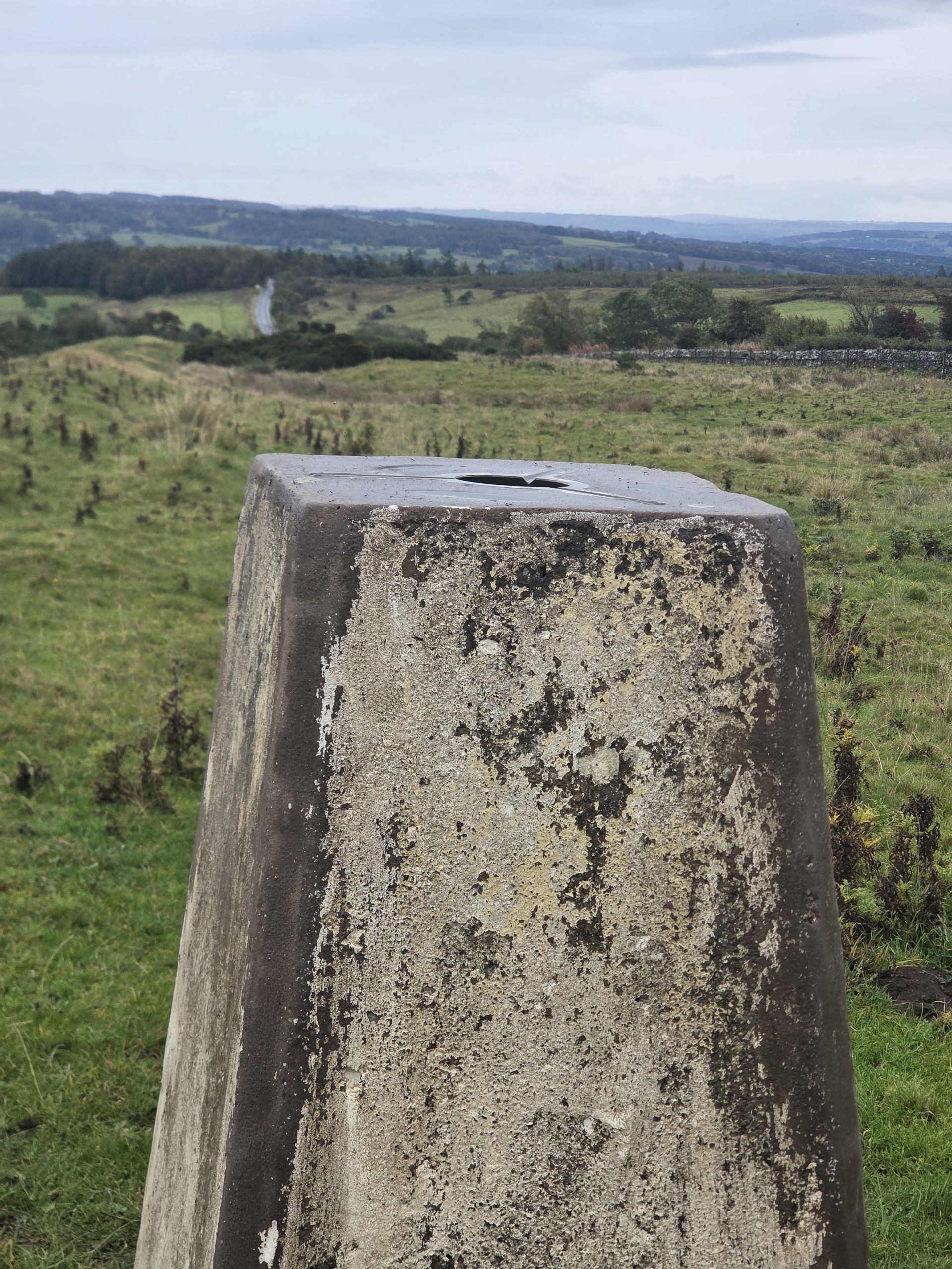 Trig