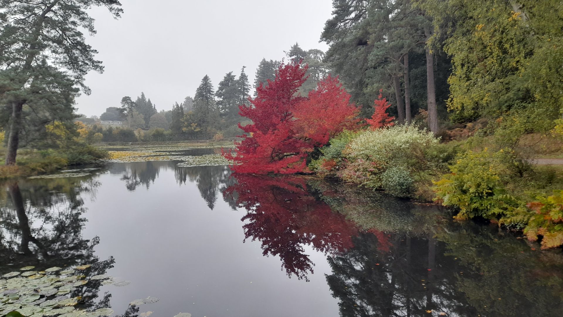 Marshall’s lake