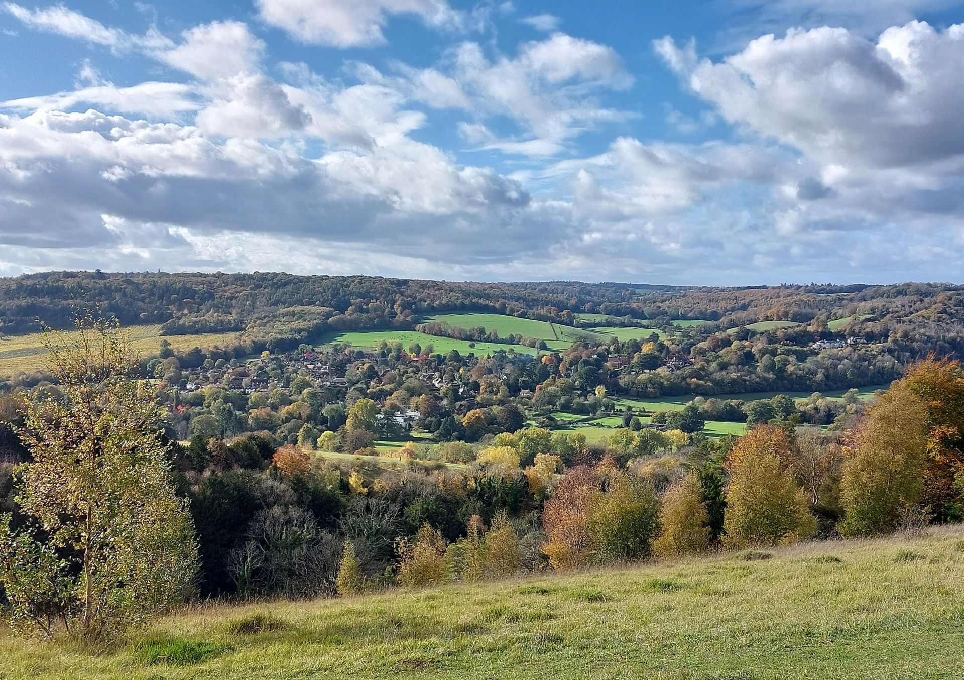 View across Mole Valley