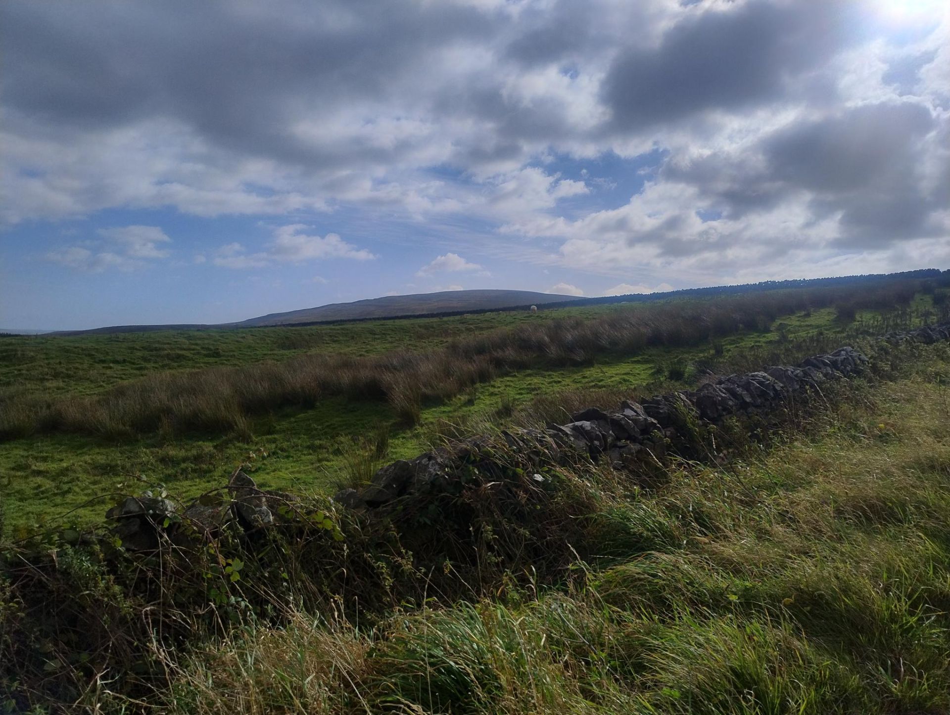 walk picture