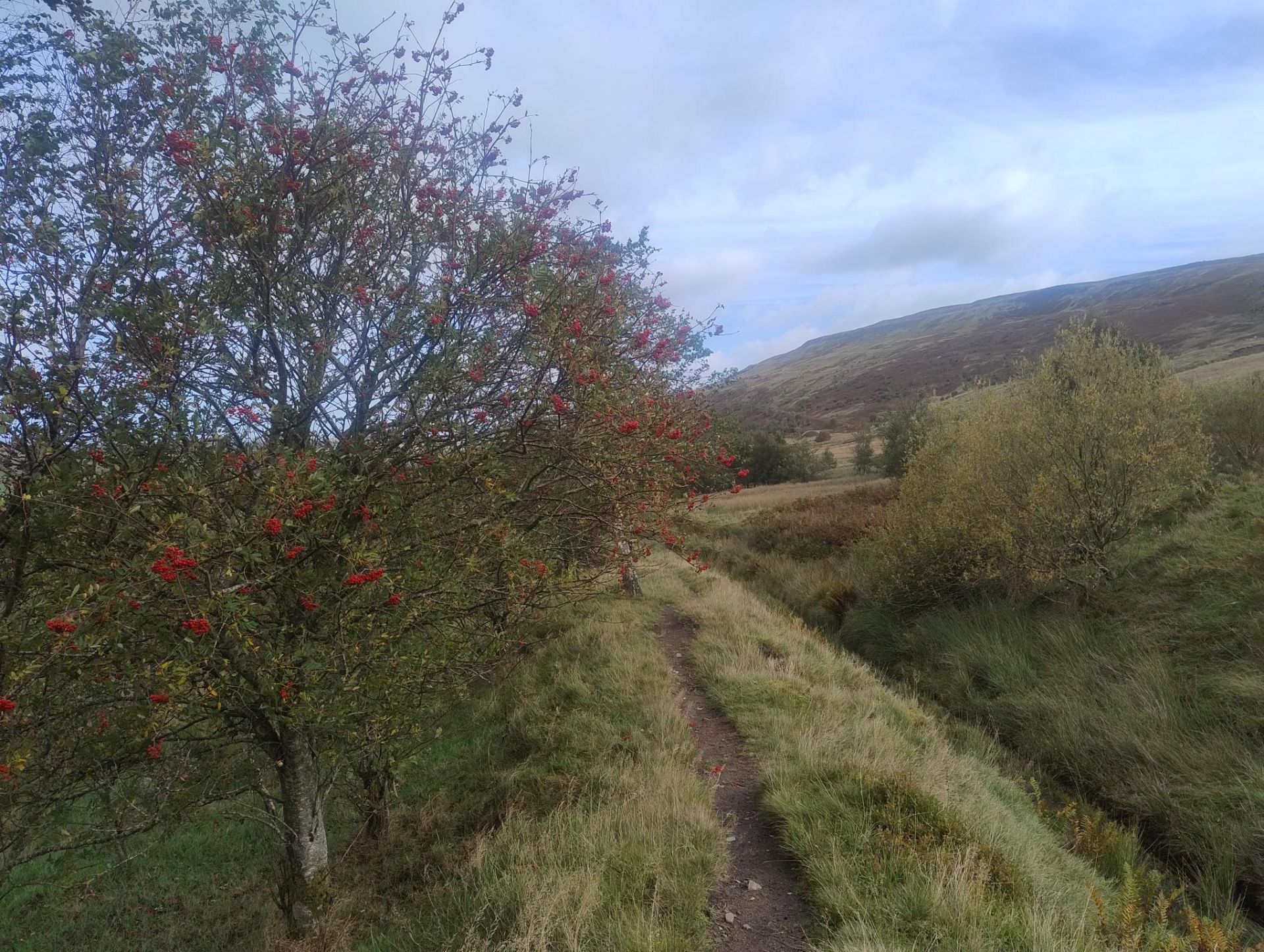 walk picture