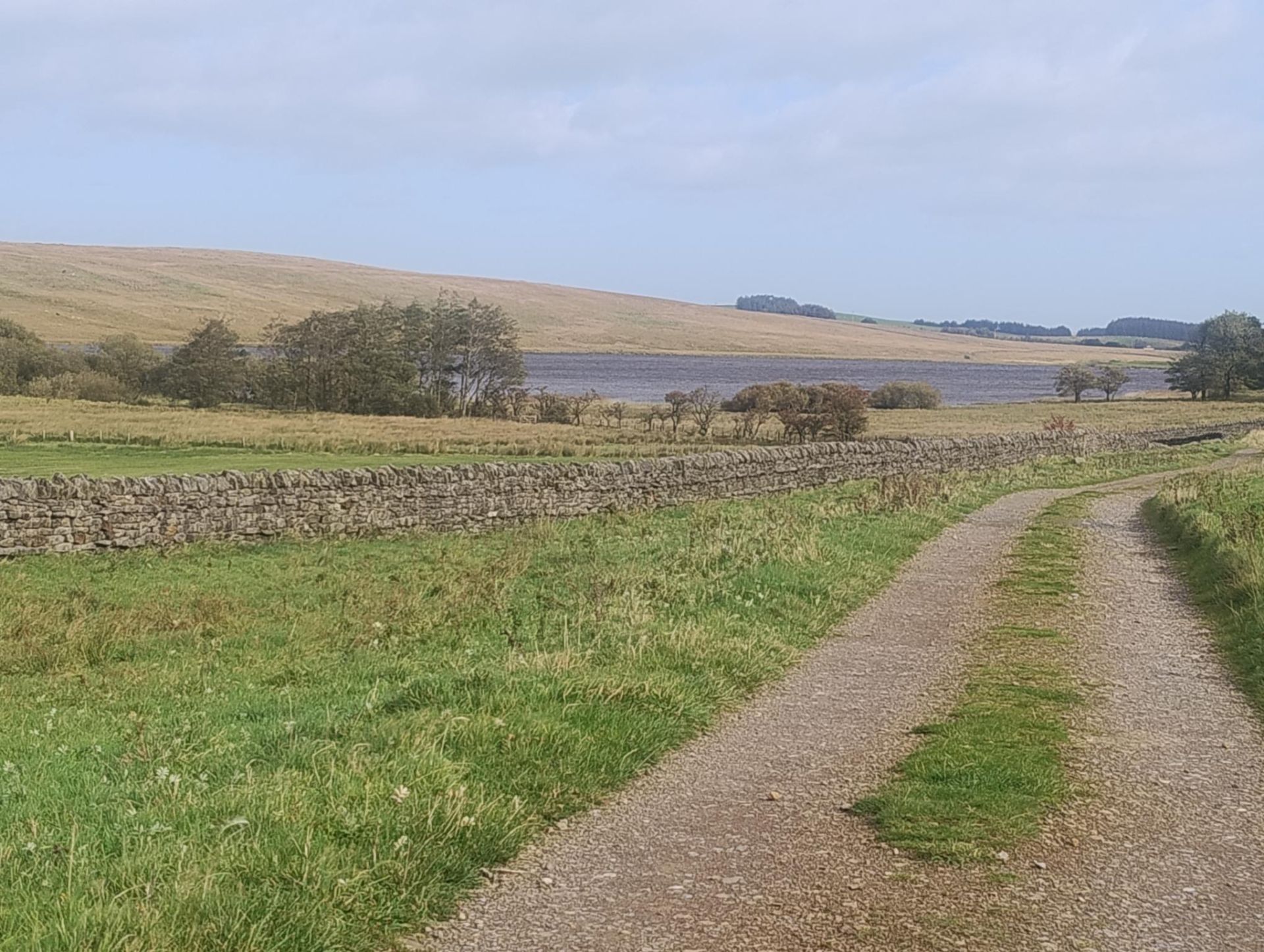 walk picture