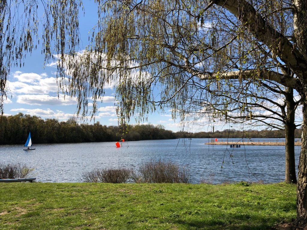 Horseshoe Lake 